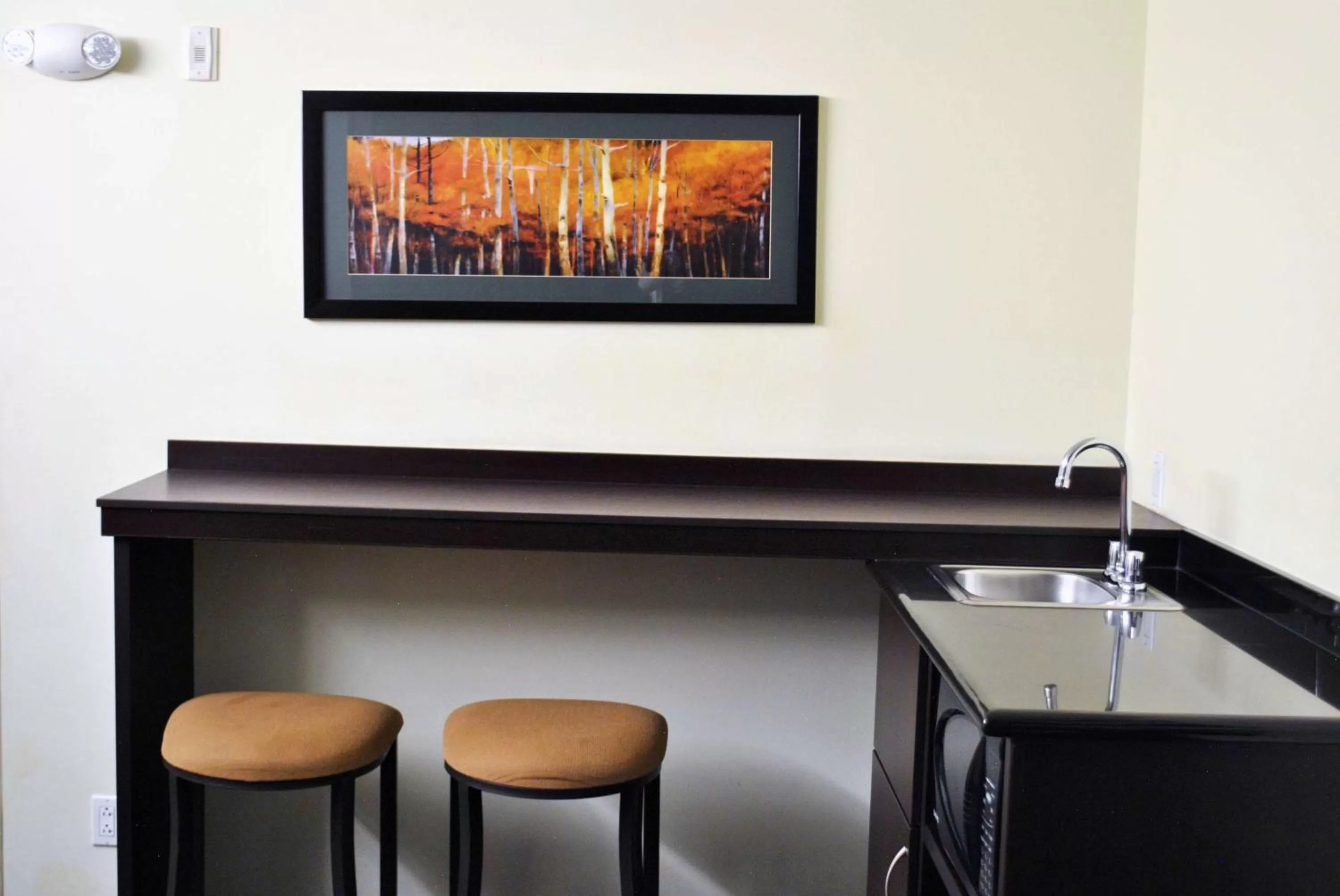 Kitchen or kitchenette in Microtel Inn and Suites by Wyndham Toluca