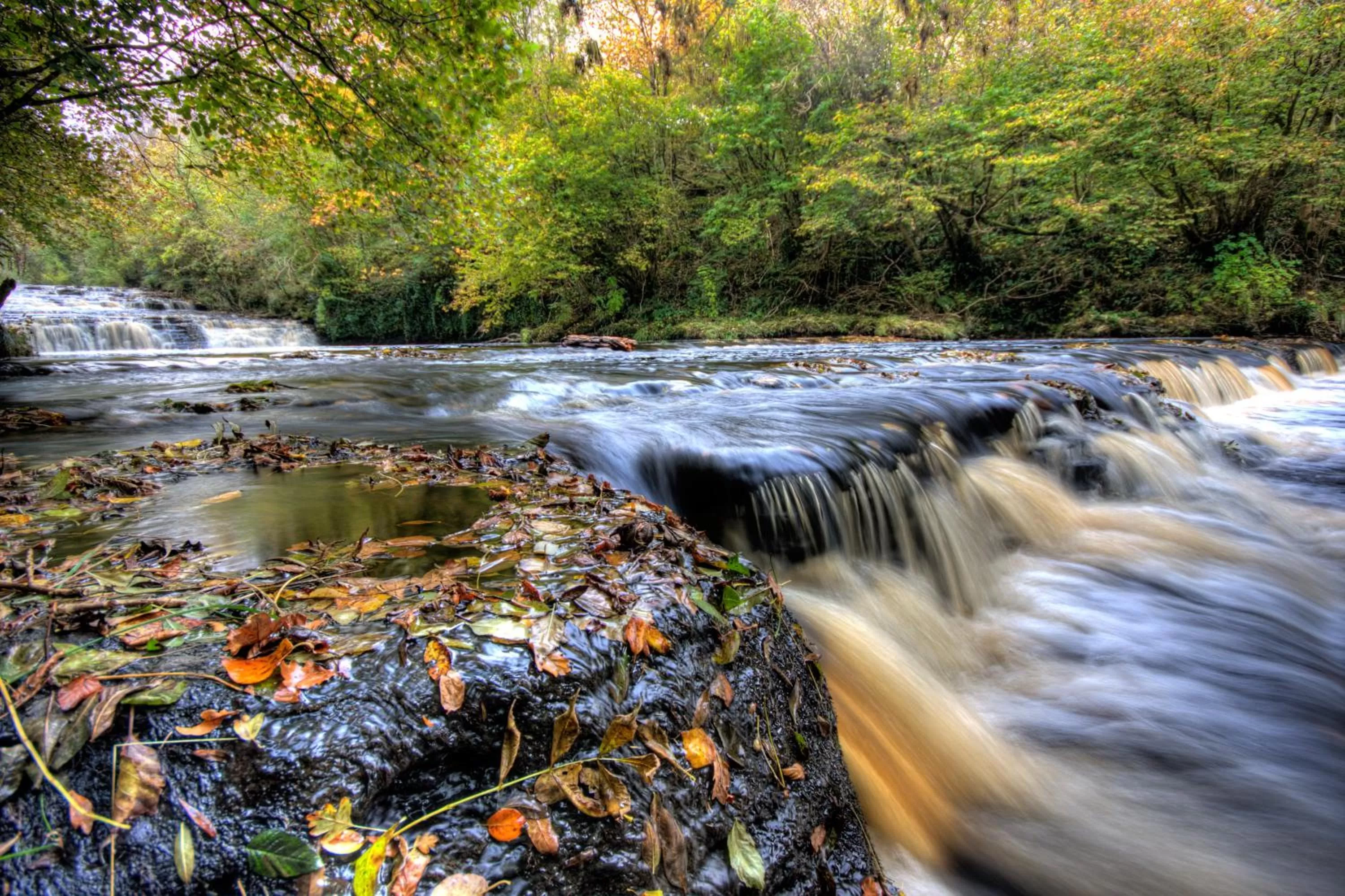 Natural landscape in Belmore Court & Motel