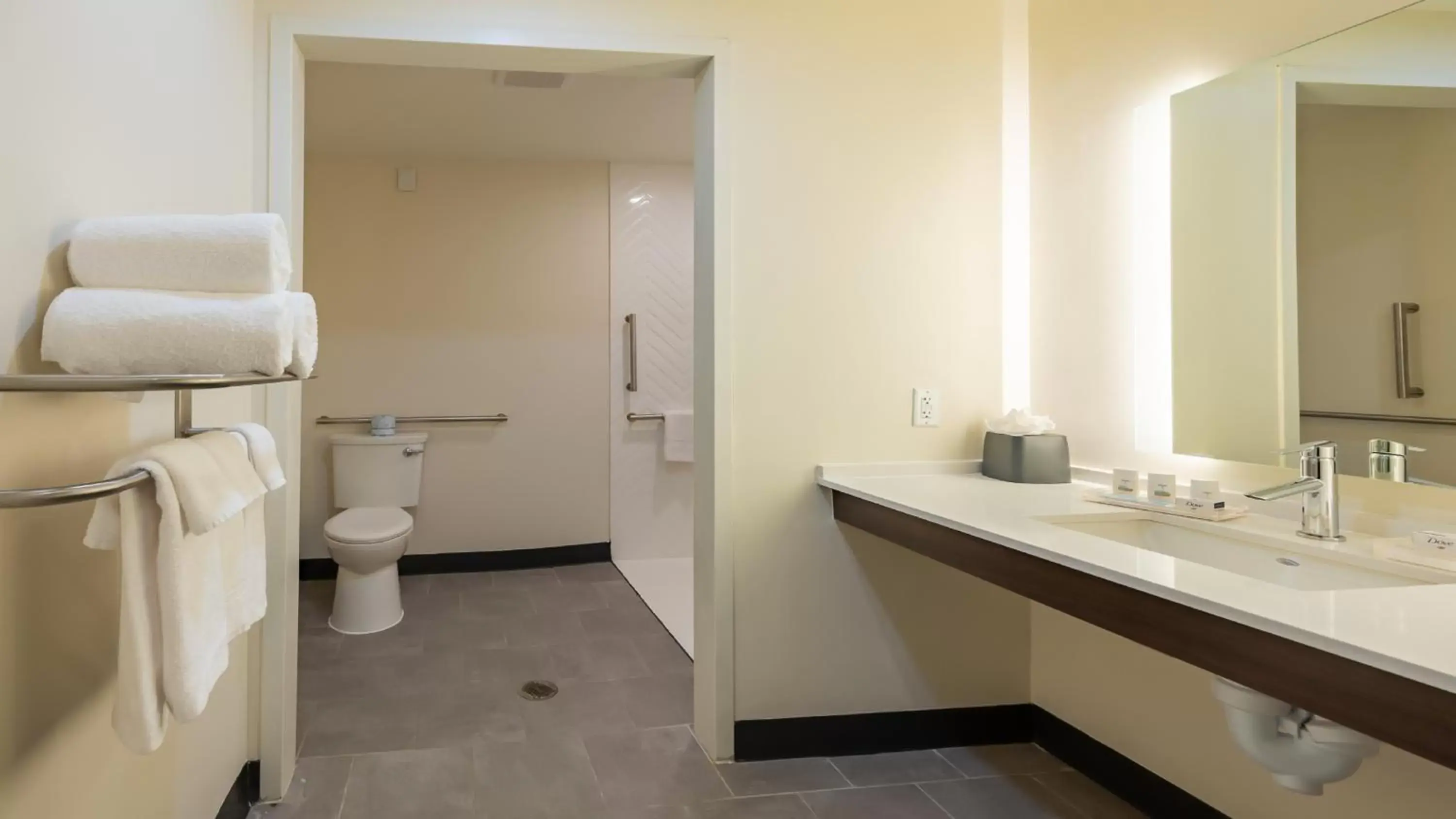 acessibility, Bathroom in Holiday Inn & Suites Atlanta Perimeter Dunwoody, an IHG Hotel