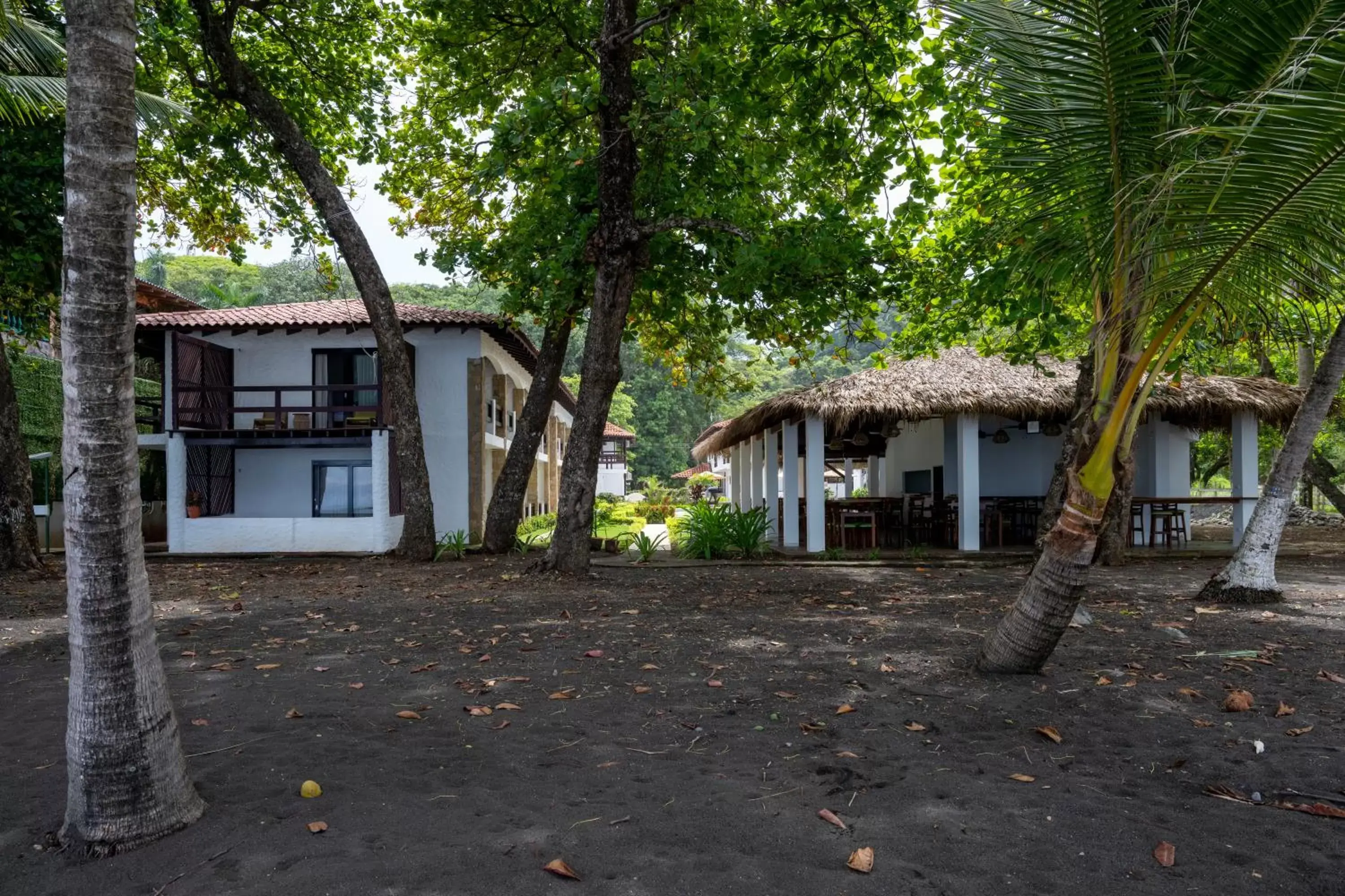 Garden view, Property Building in Fuego del Sol Beachfront Hotel