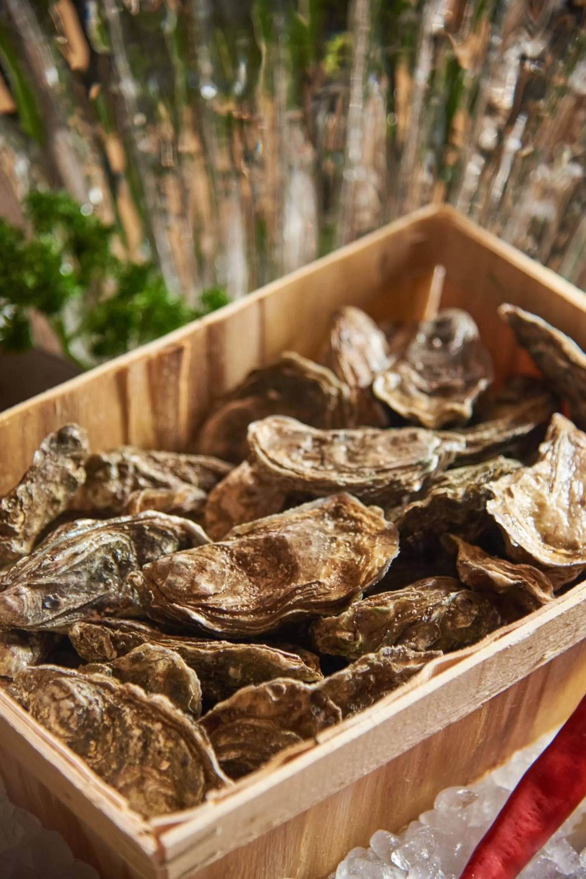 Food and drinks in The Westin Grande Sukhumvit, Bangkok