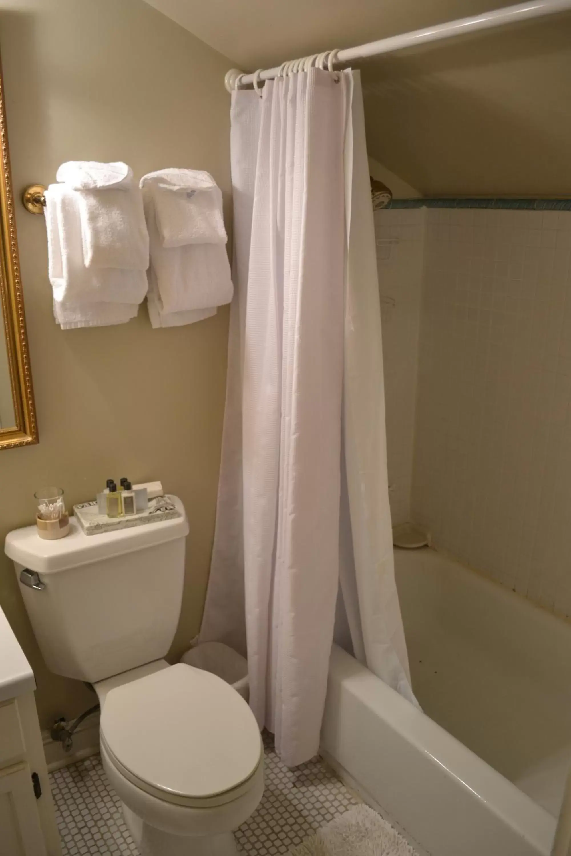 Bathroom in Edgar Degas House Historic Home and Museum