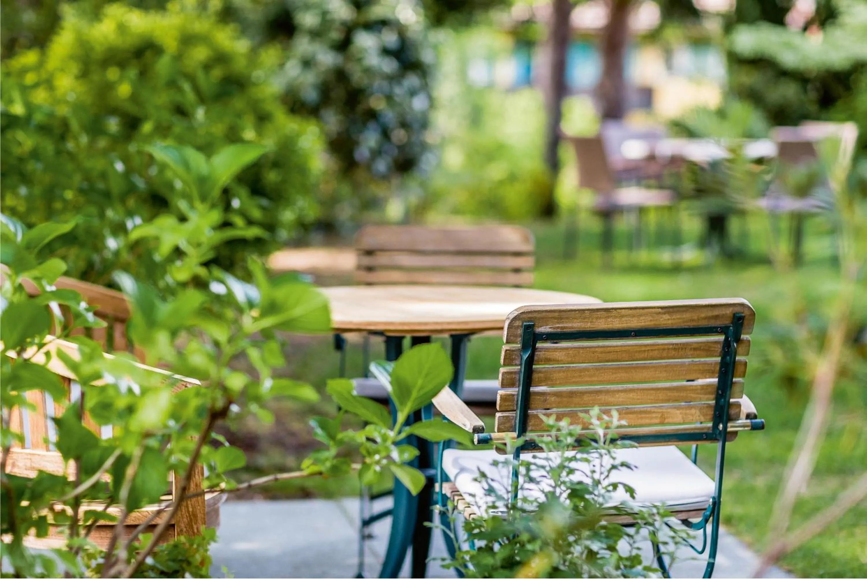 Garden in Hotel Sonnenhof