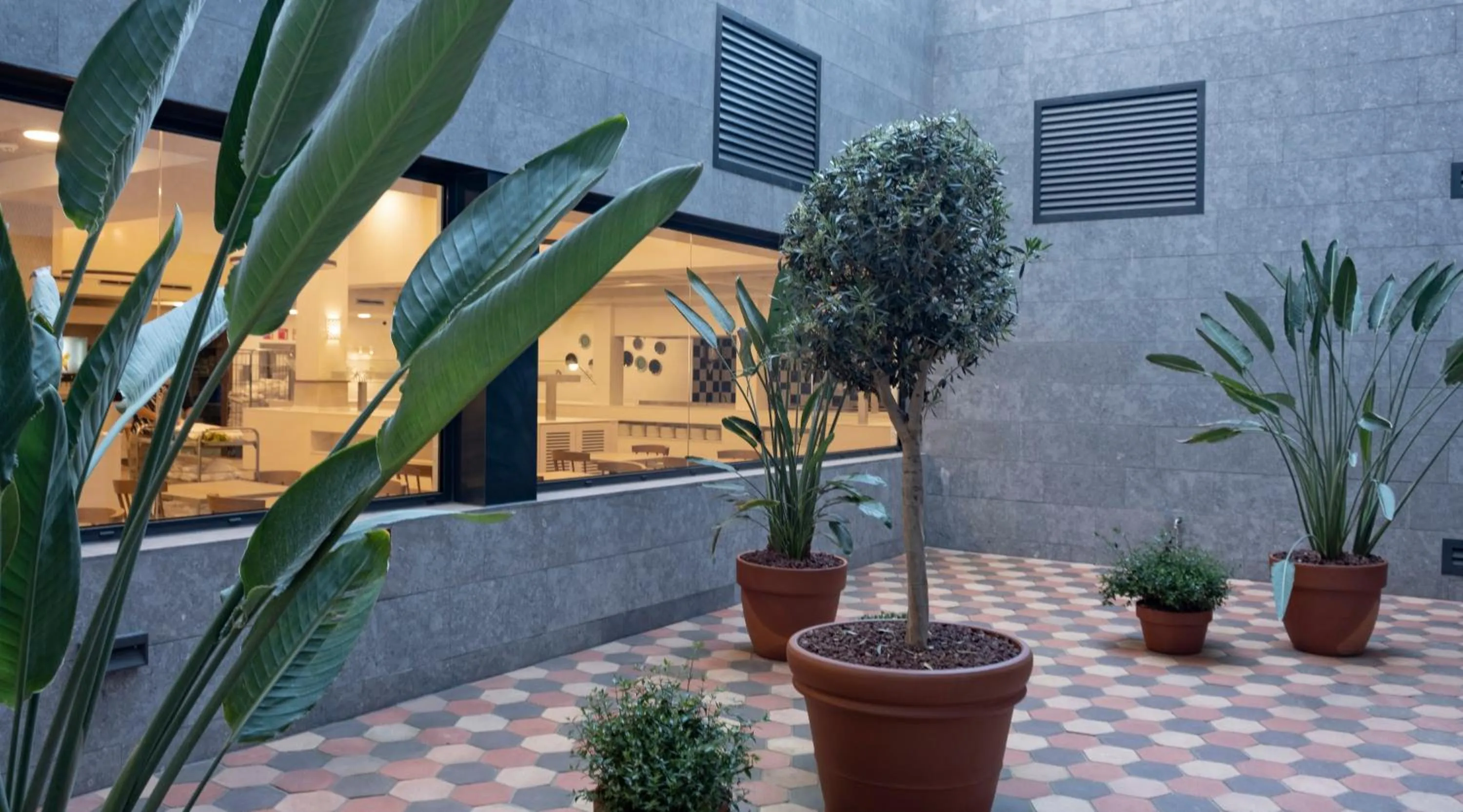 Patio in Rosamar Es Blau 4*s - Adults Only