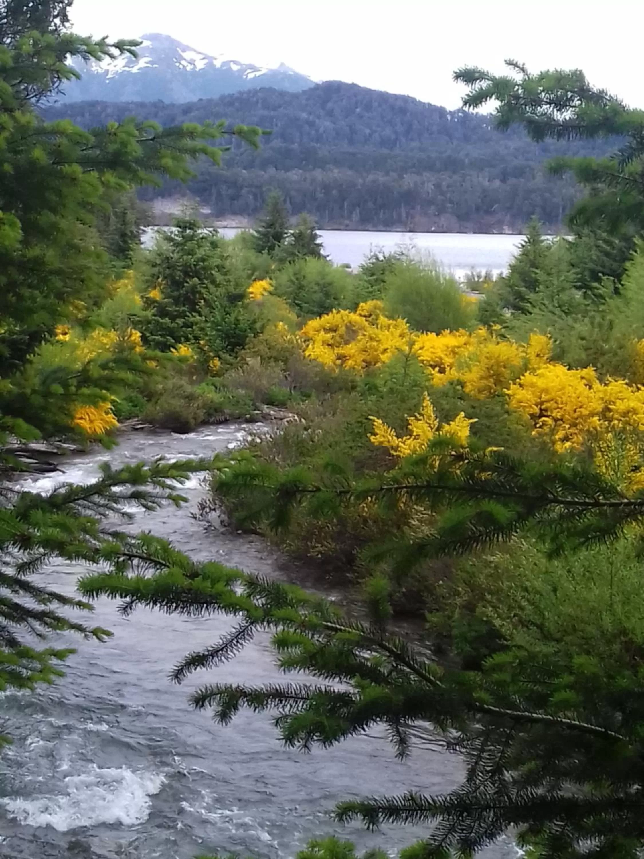 Natural landscape in Hosteria Lekun Lekun