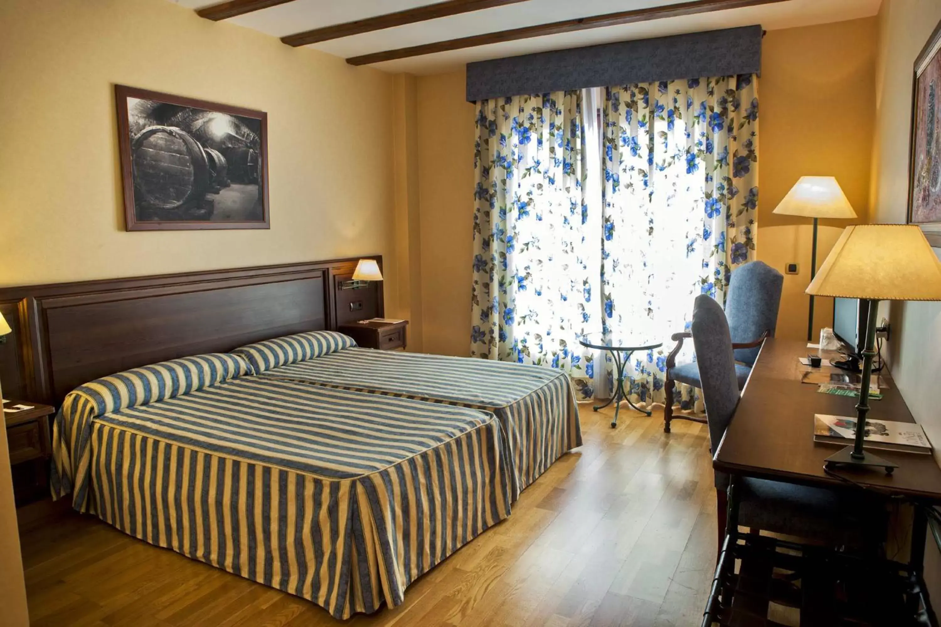 Double or Twin Room in Hotel Spa Tudanca Aranda