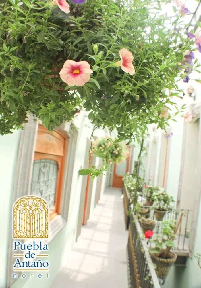 Patio/Outdoor Area in Hotel Puebla de Antaño