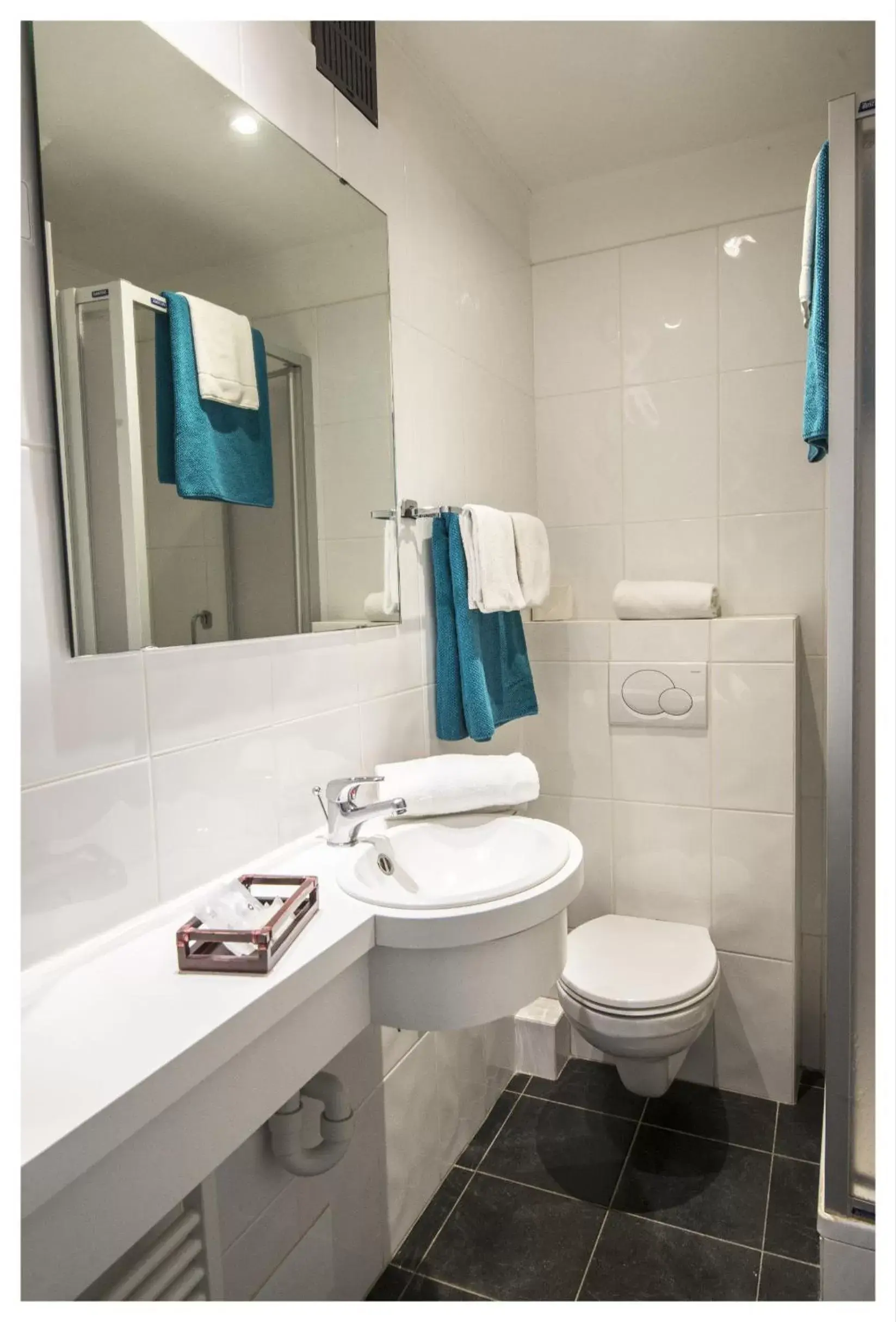 Toilet, Bathroom in Hotel Ter Streep