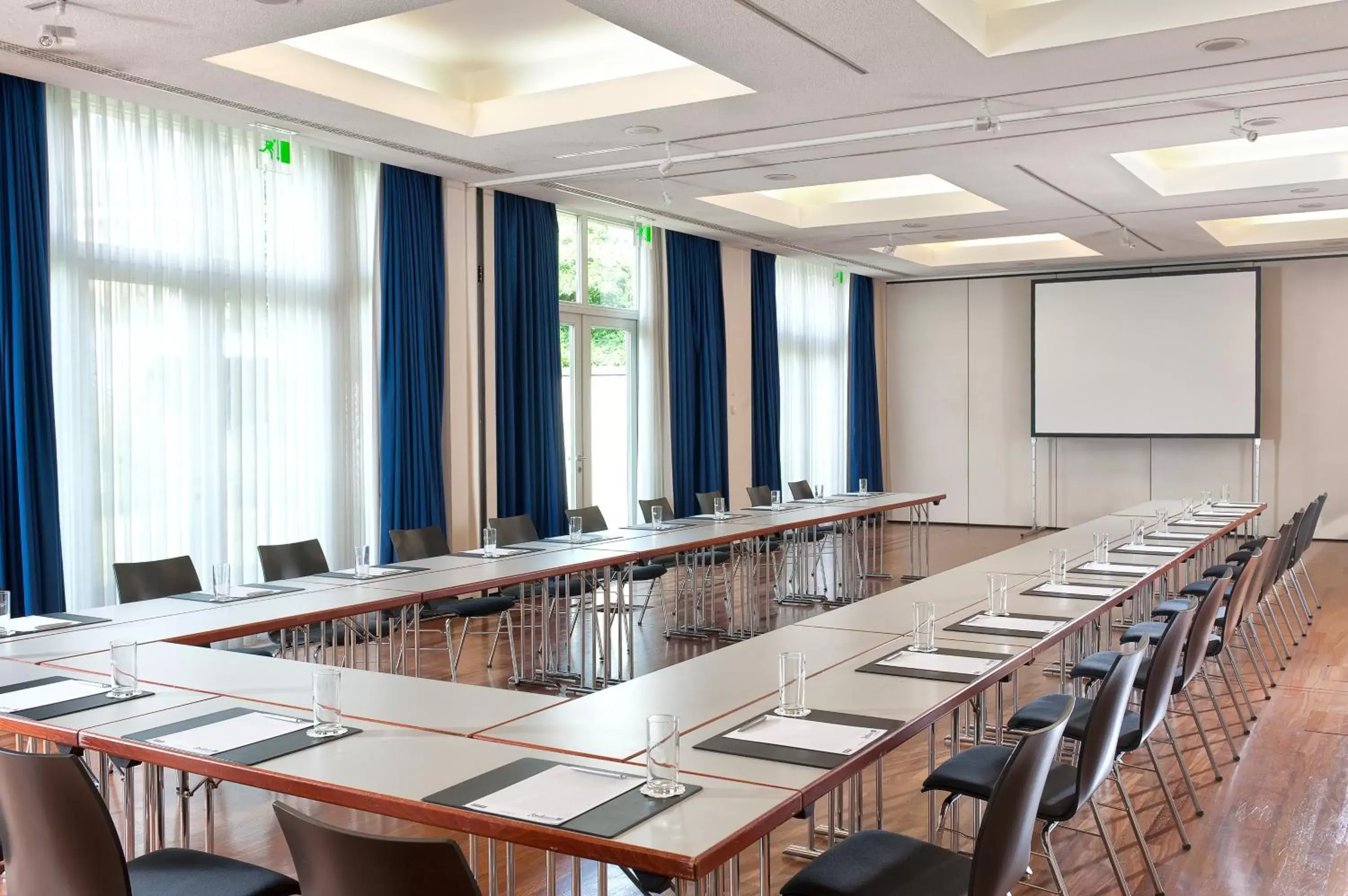 Business facilities in Radisson Blu Park Hotel & Conference Centre