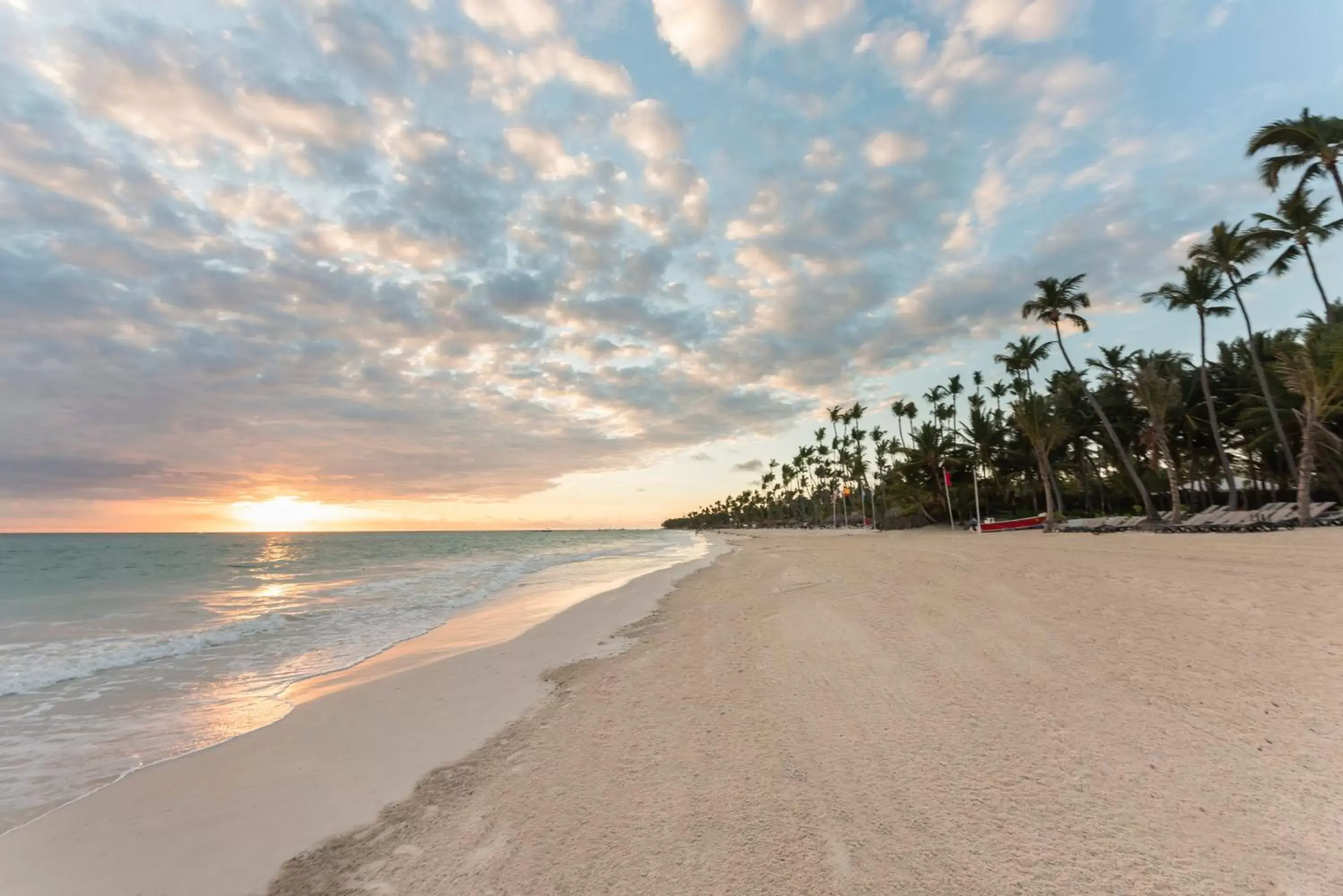 Beach in Occidental Punta Cana - All Inclusive