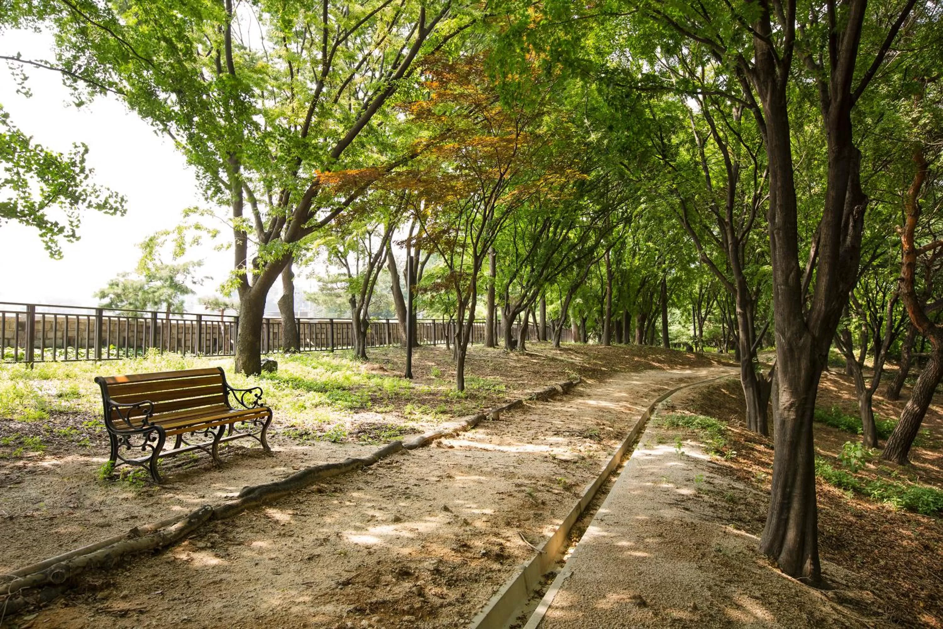 Garden in The Shilla Seoul