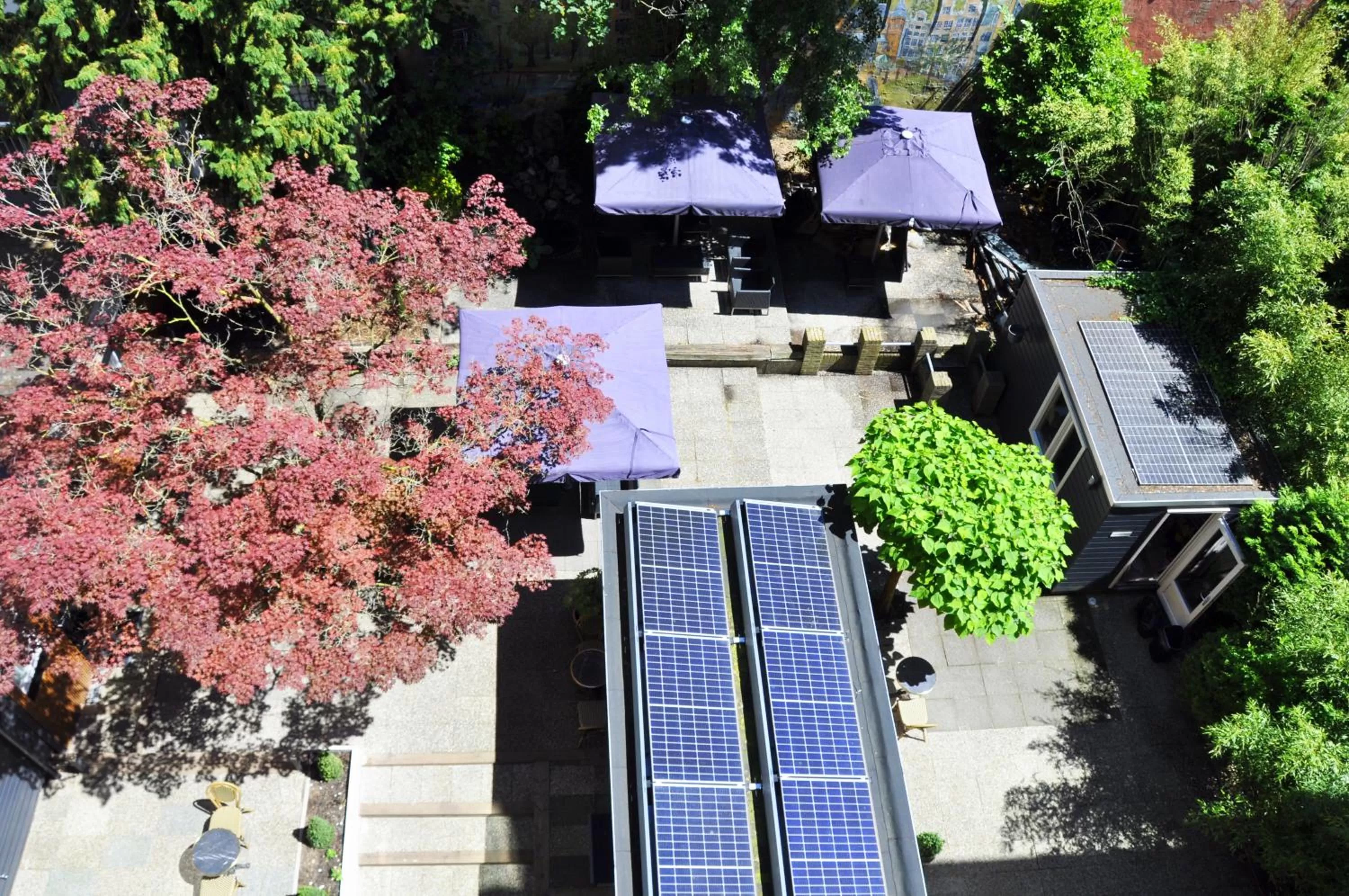 Garden in Huygens Place Amsterdam