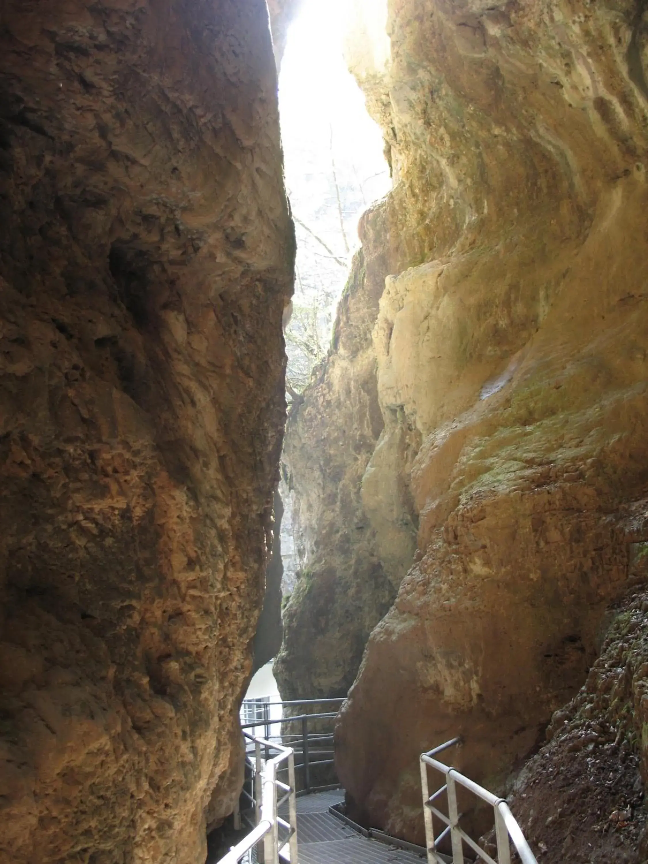 Hiking, Mountain View in Albergo Tuenno