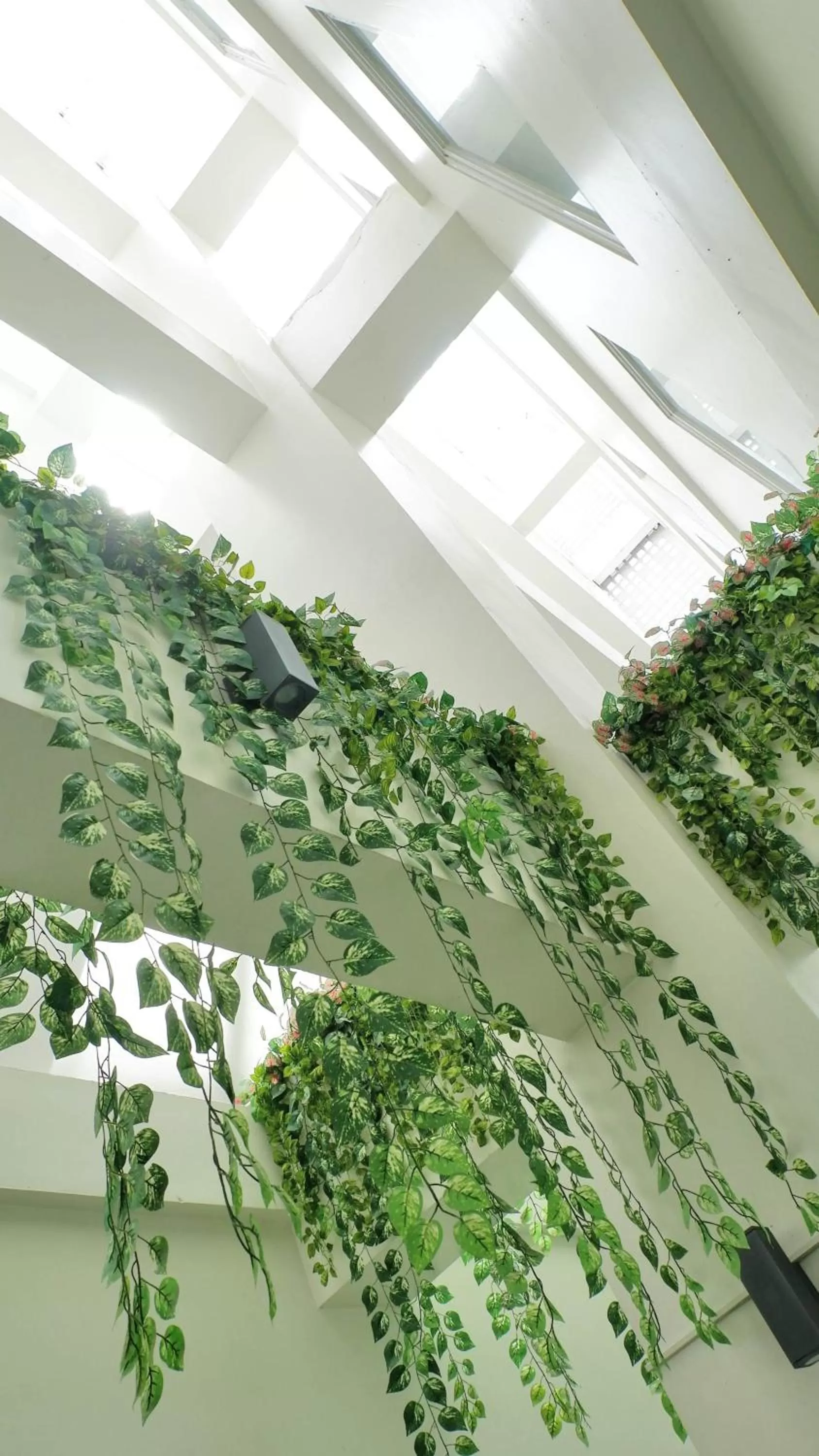 City view in MaxOne Signature Glodok Jakarta