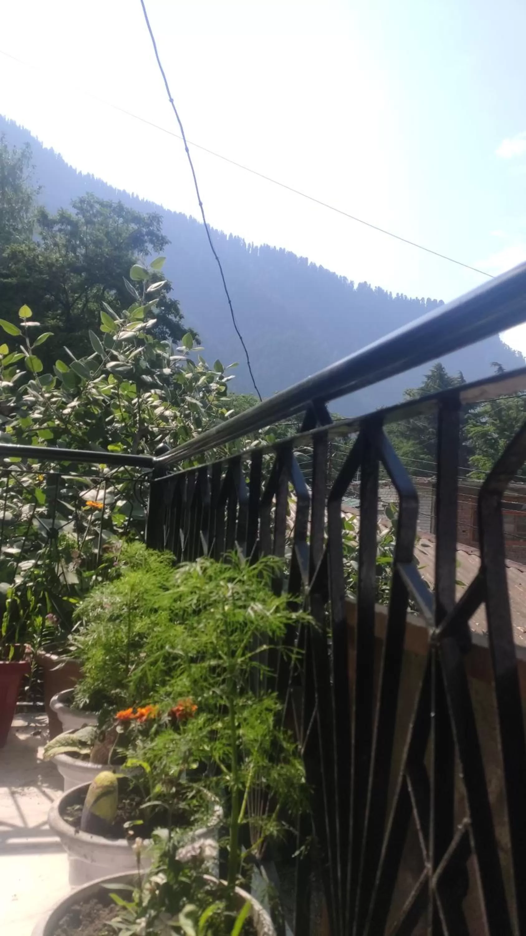 Balcony/Terrace in The Prasher Lodge Mall Road Manali