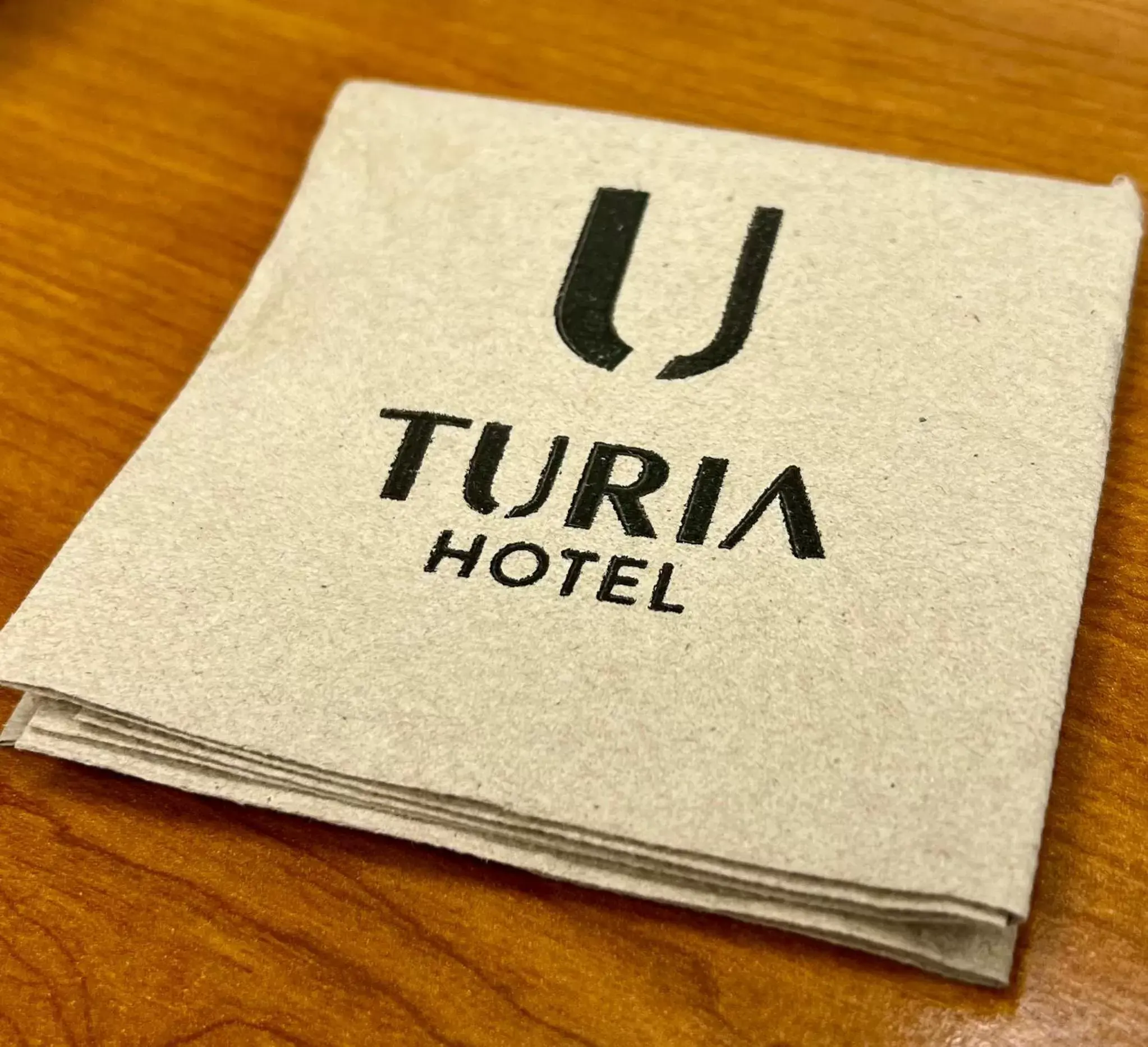 Property logo or sign in Hotel Turia