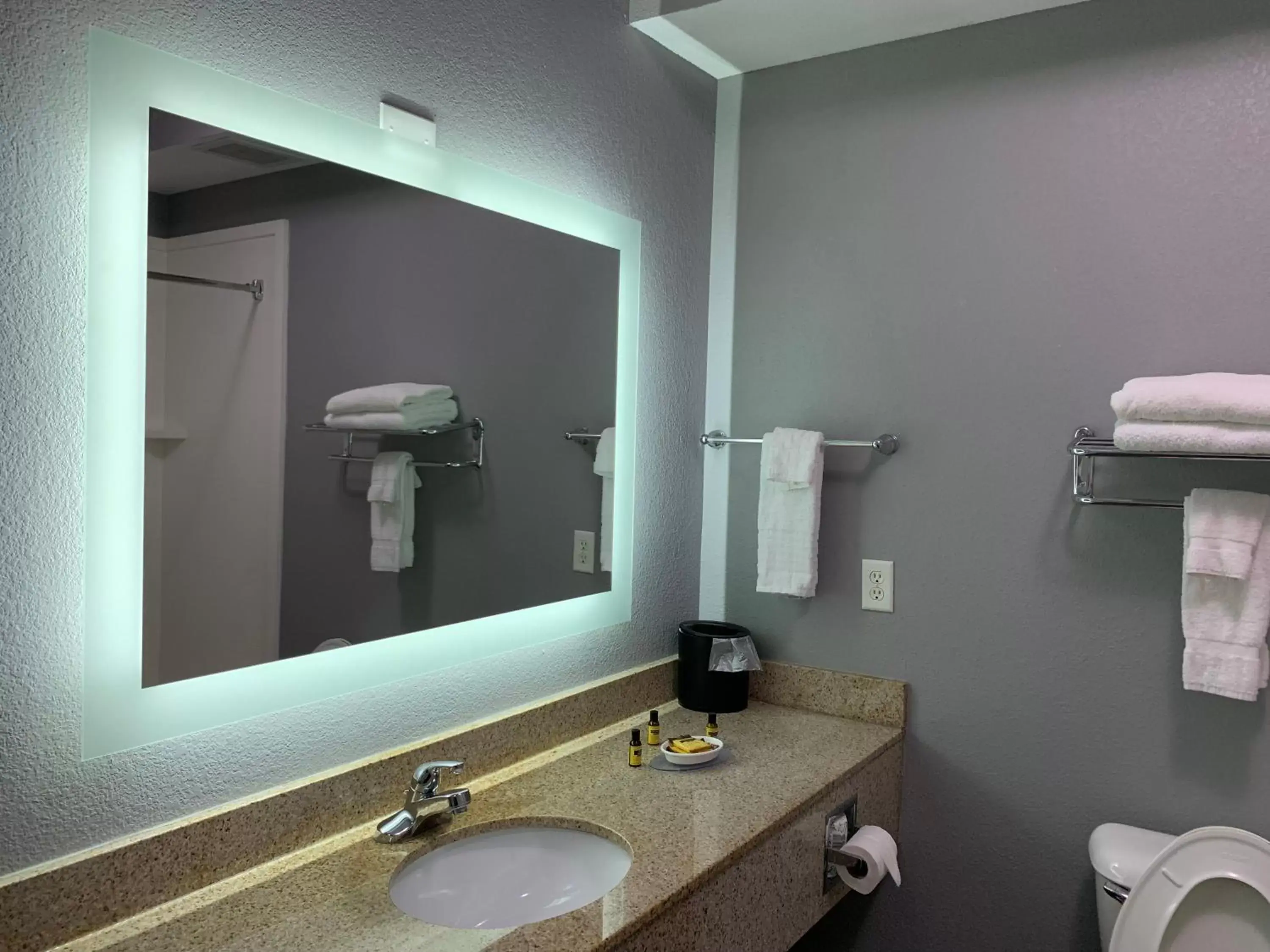 Bathroom in Best Western Plus Olive Branch Hotel & Suites