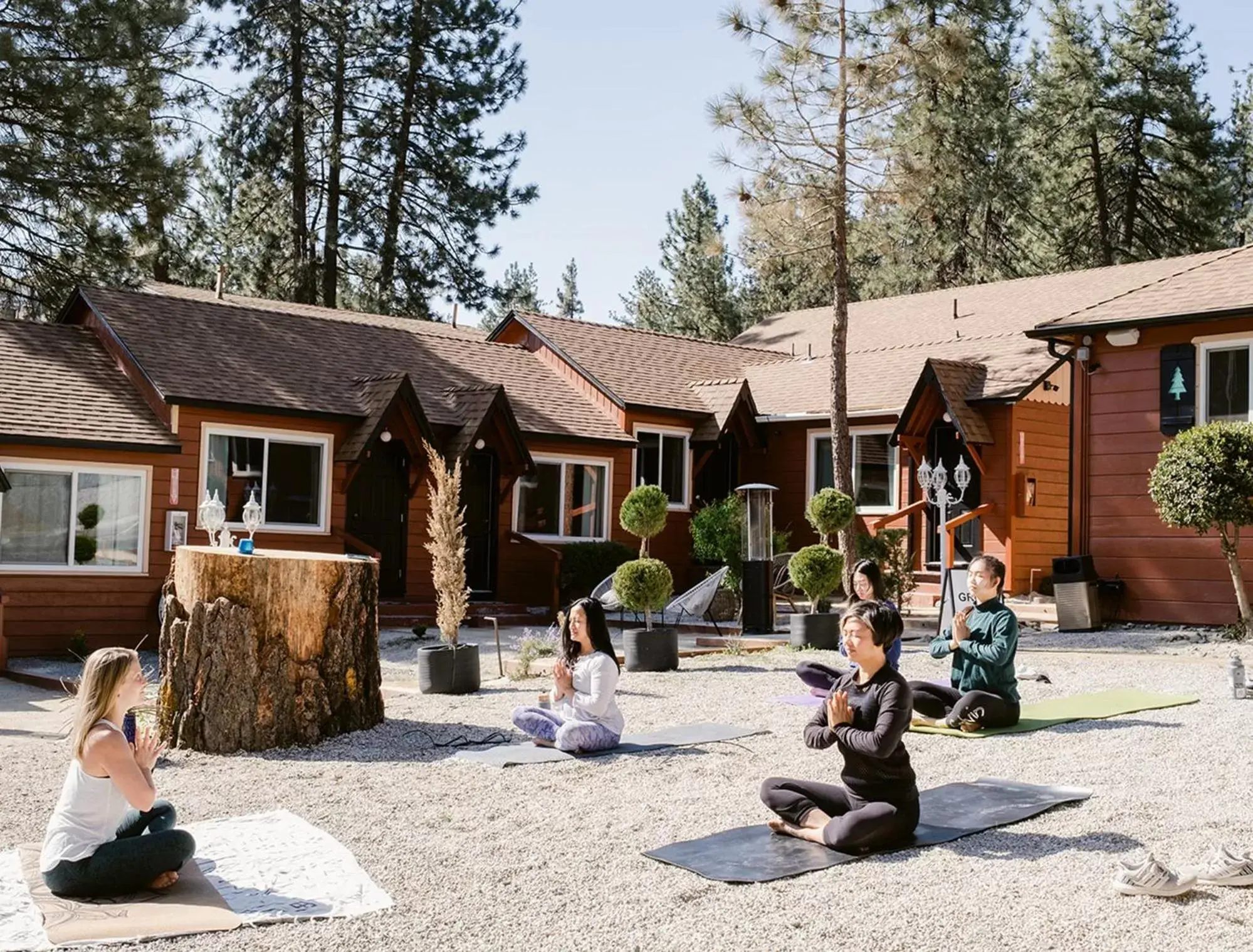 Property Building in Grand Pine Cabins