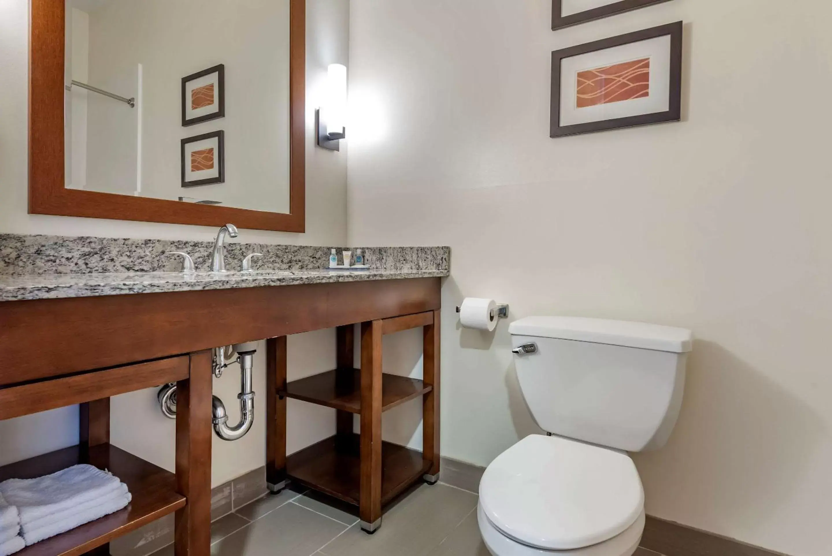 Bathroom in Comfort Inn Apalachin - Binghamton W Route 17