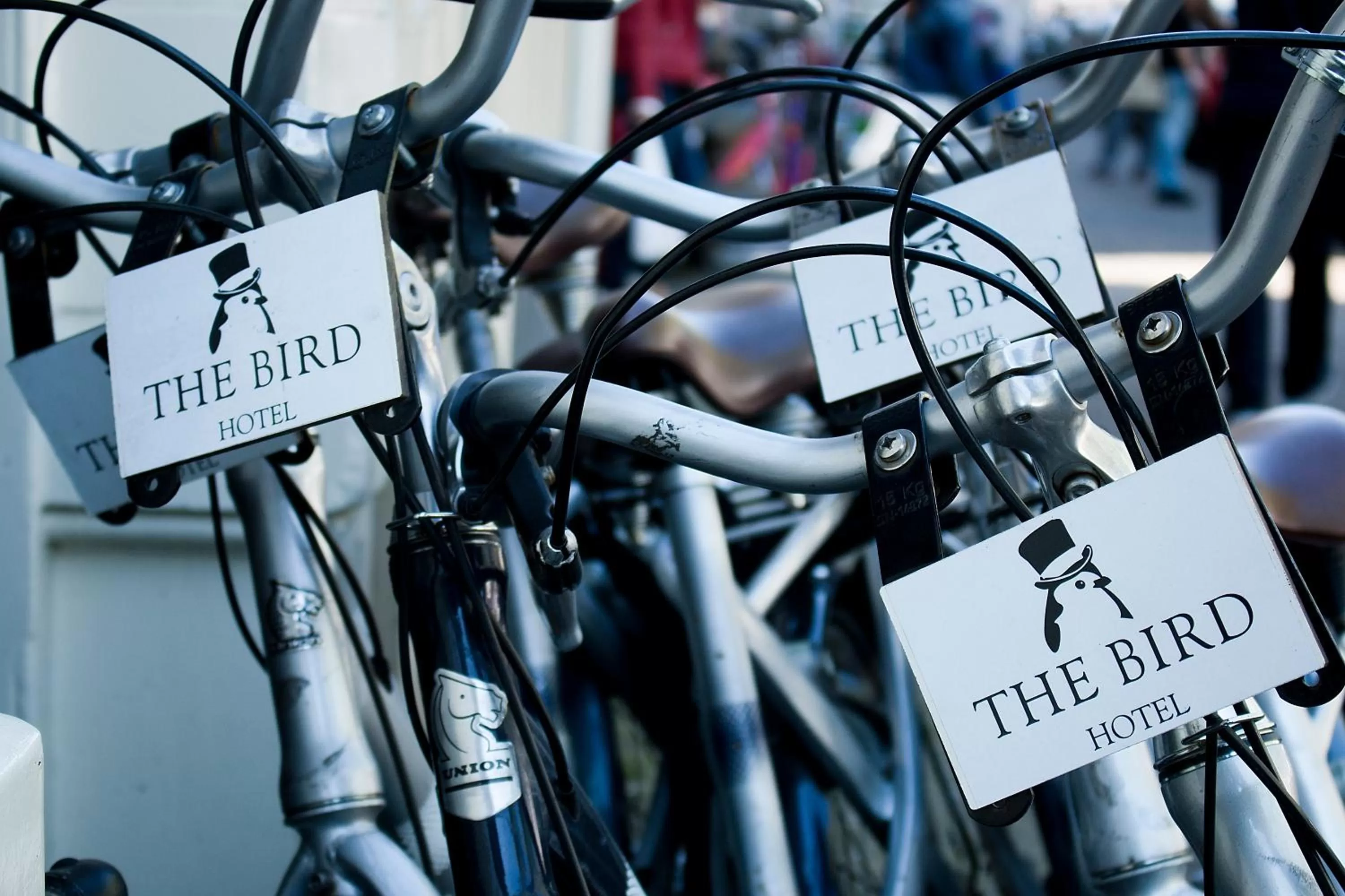 Cycling in Hotel The Bird