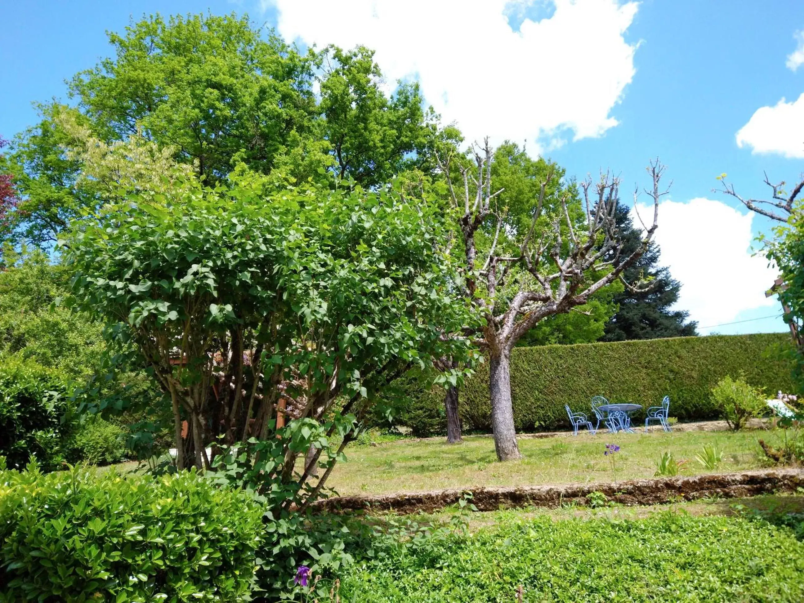 Garden in La Colline