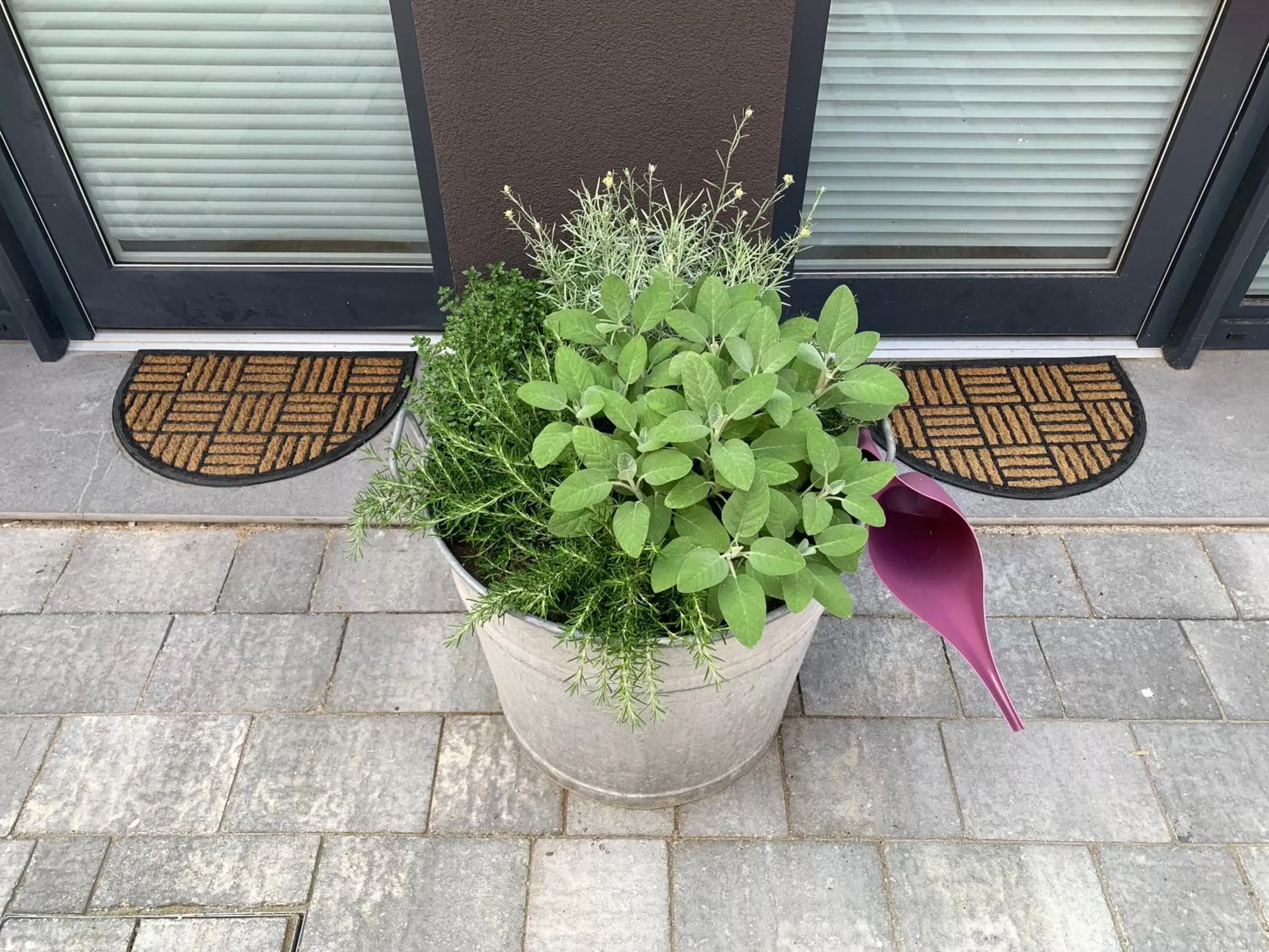 Patio in Metroloft