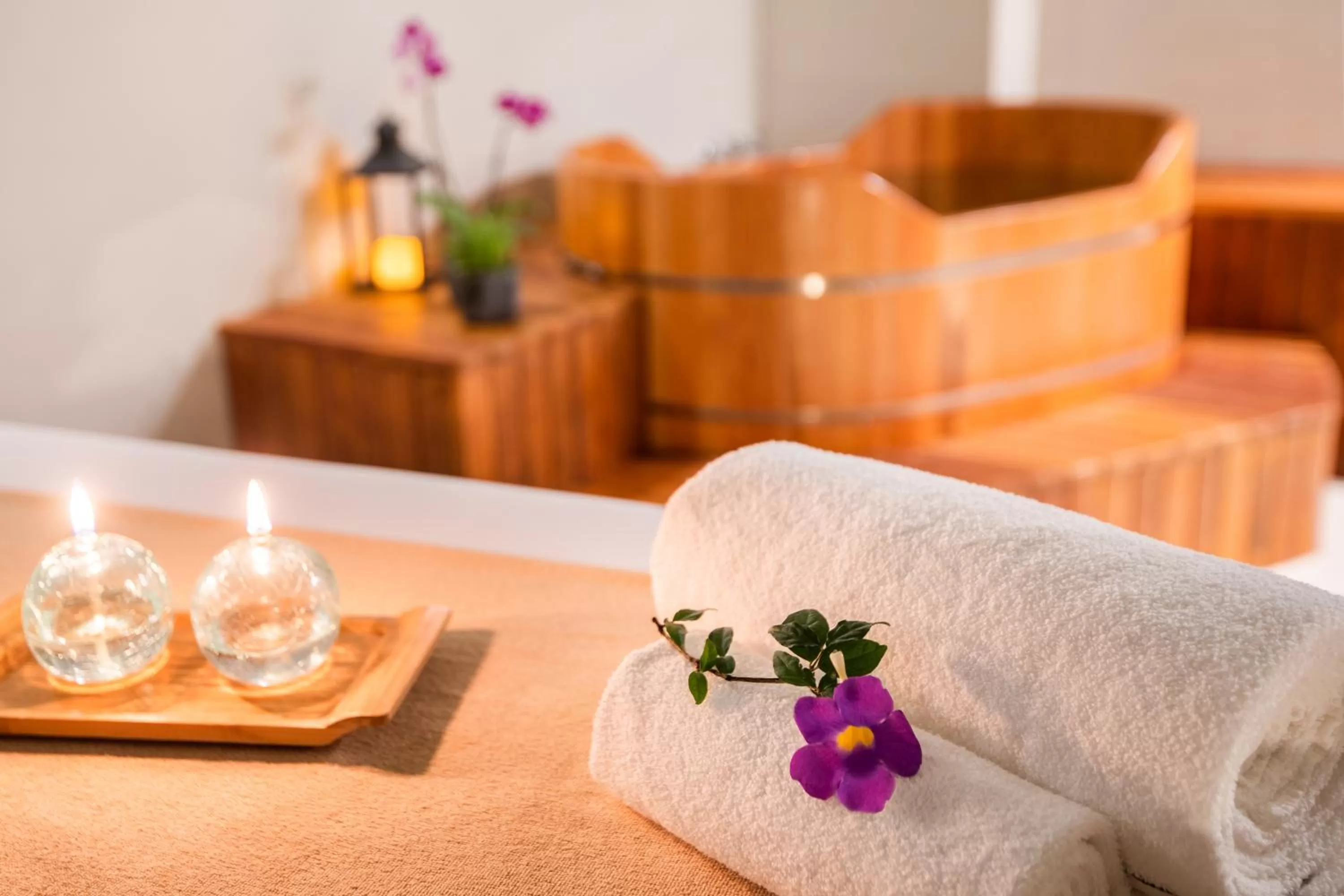 Spa and wellness centre/facilities in Meliá Paulista