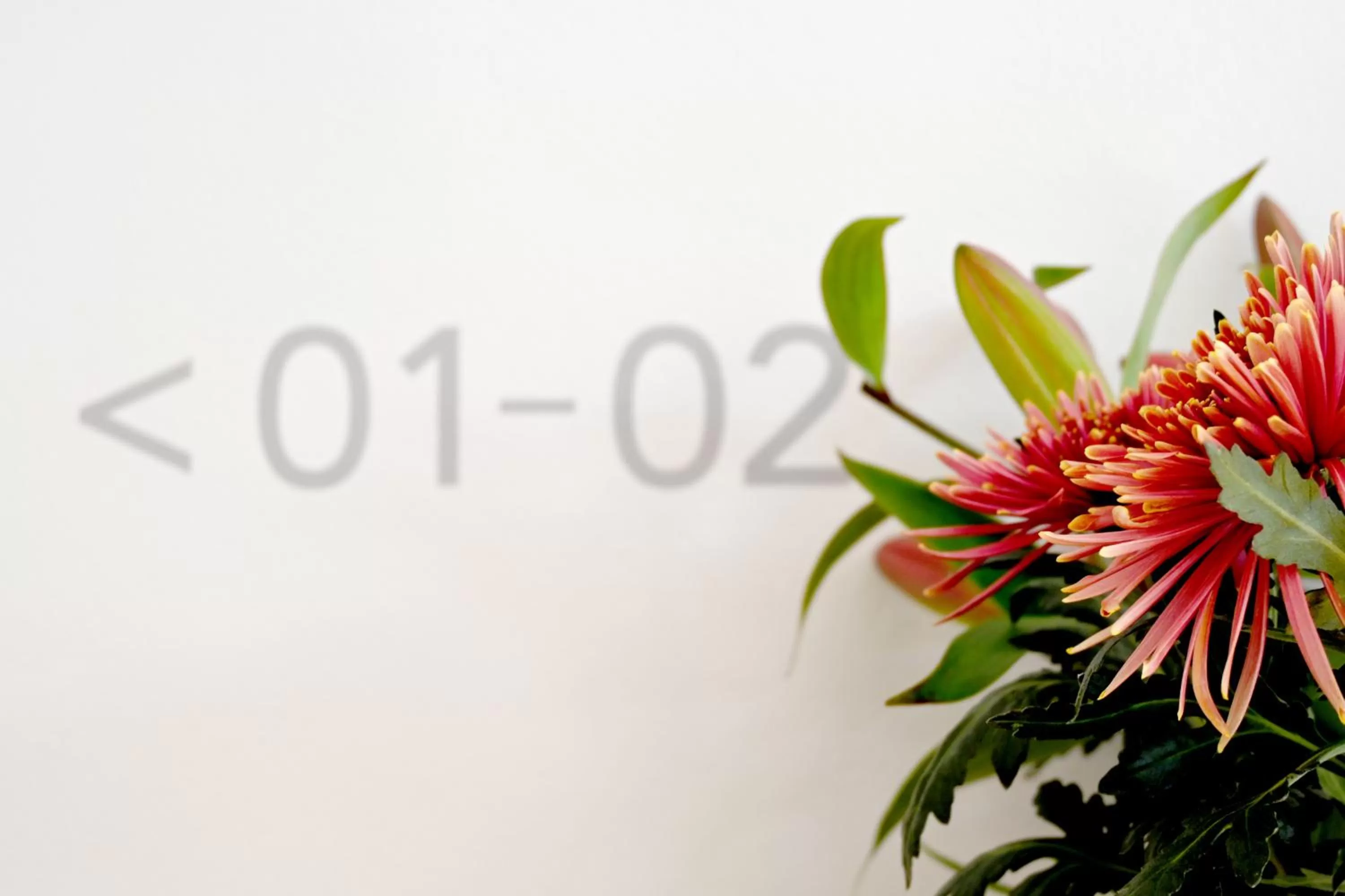 Property building in Hotel Brandenburger Dom