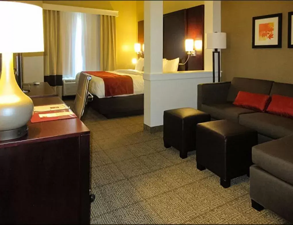 Day, Seating Area in Comfort Suites-Youngstown North