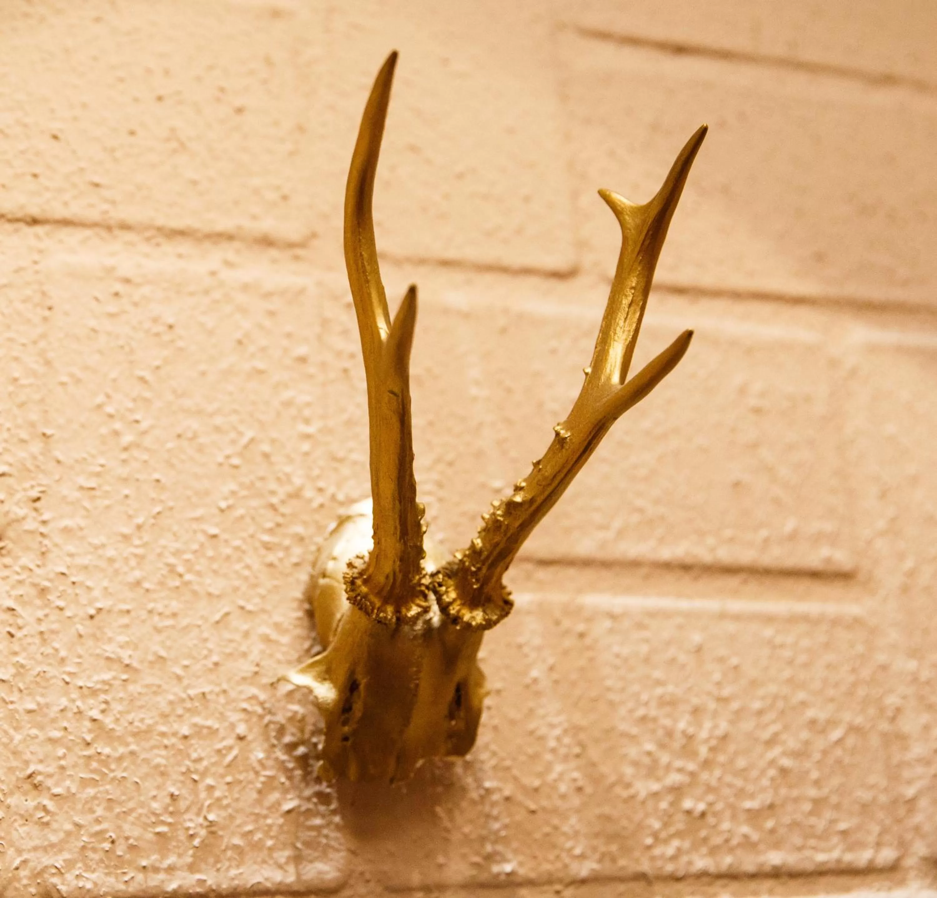 Property building in Hotel Salzburg