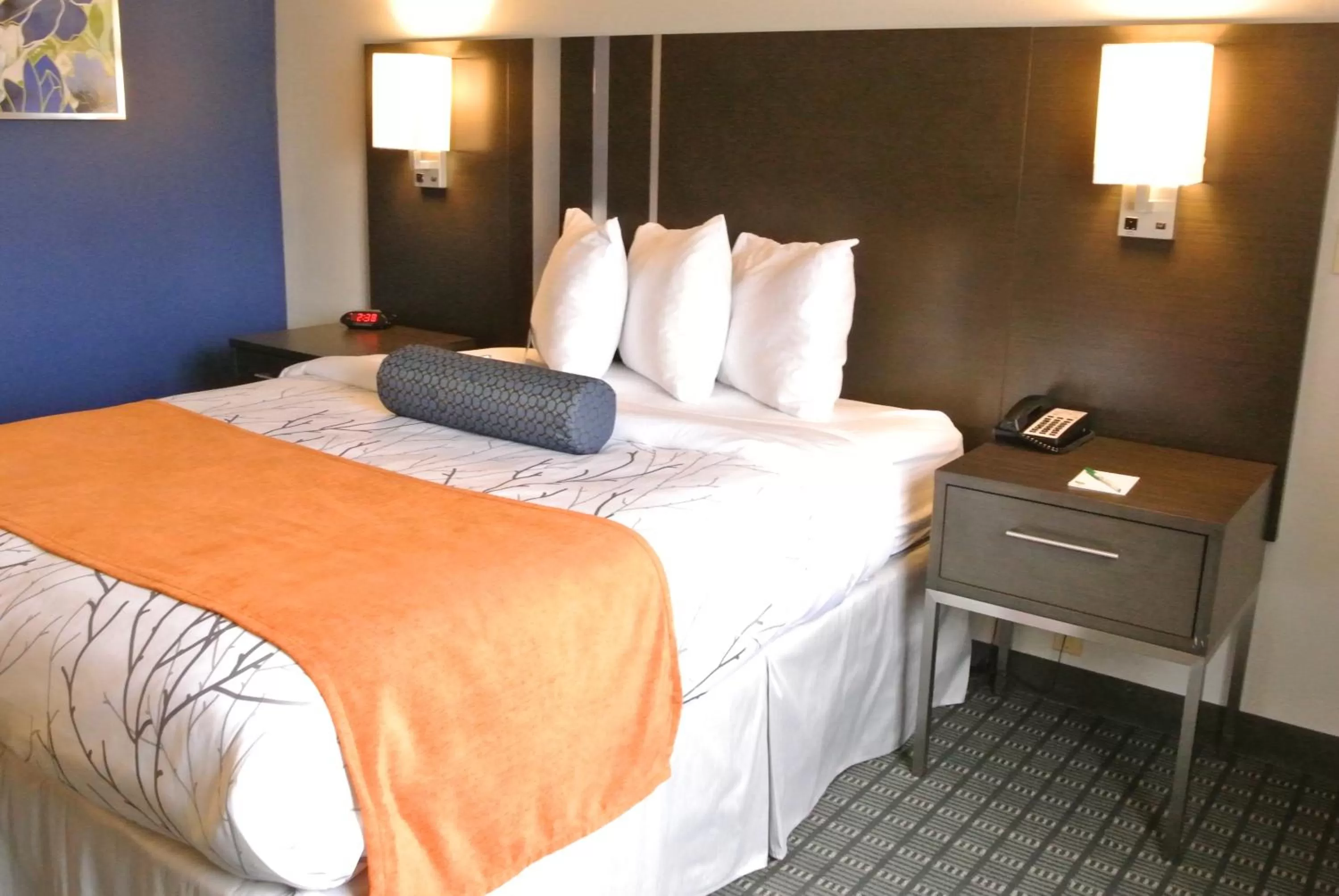 Bed in Guesthouse Inn & Suites Lexington