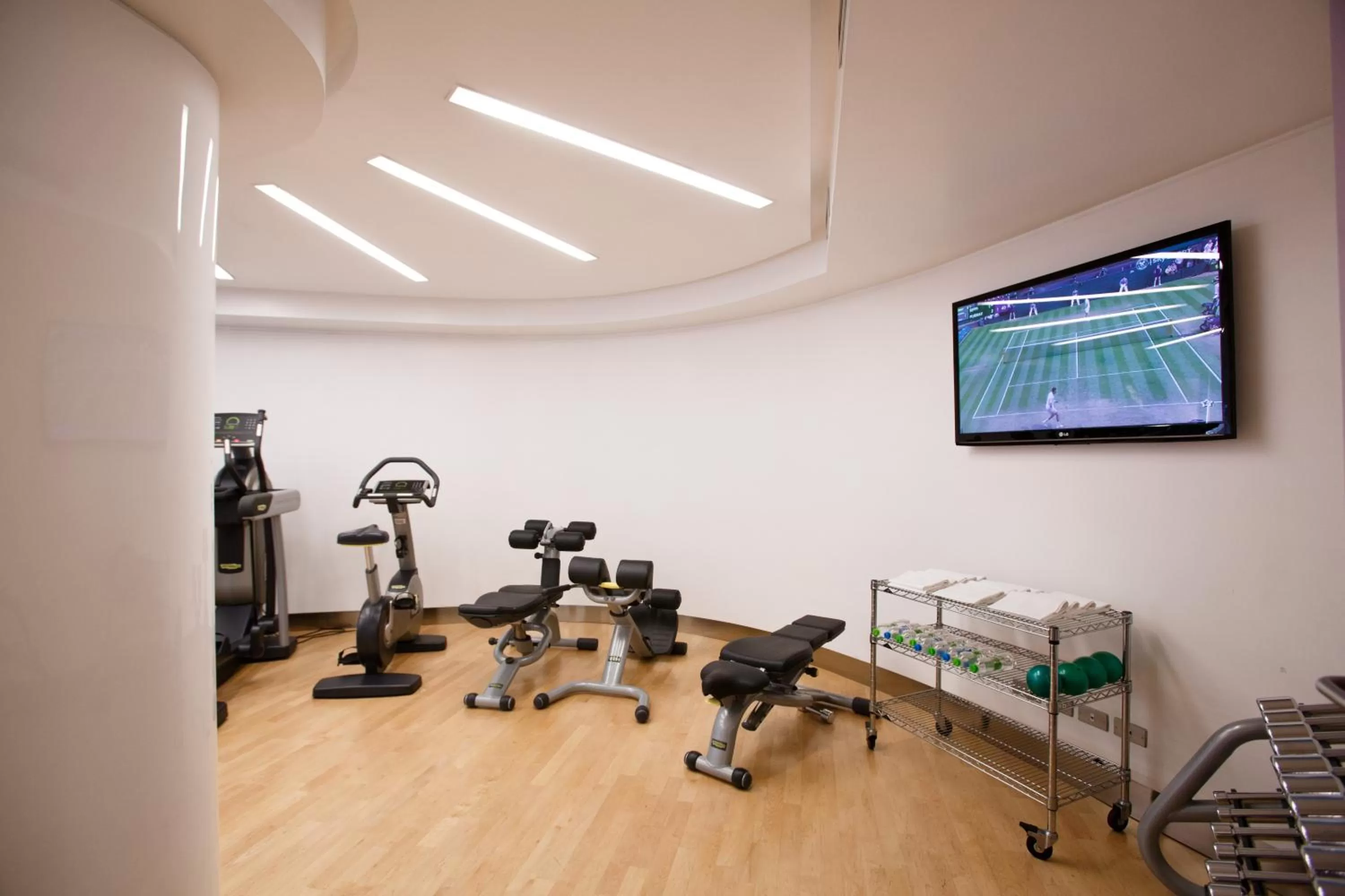 Fitness centre/facilities in Albani Hotel Roma