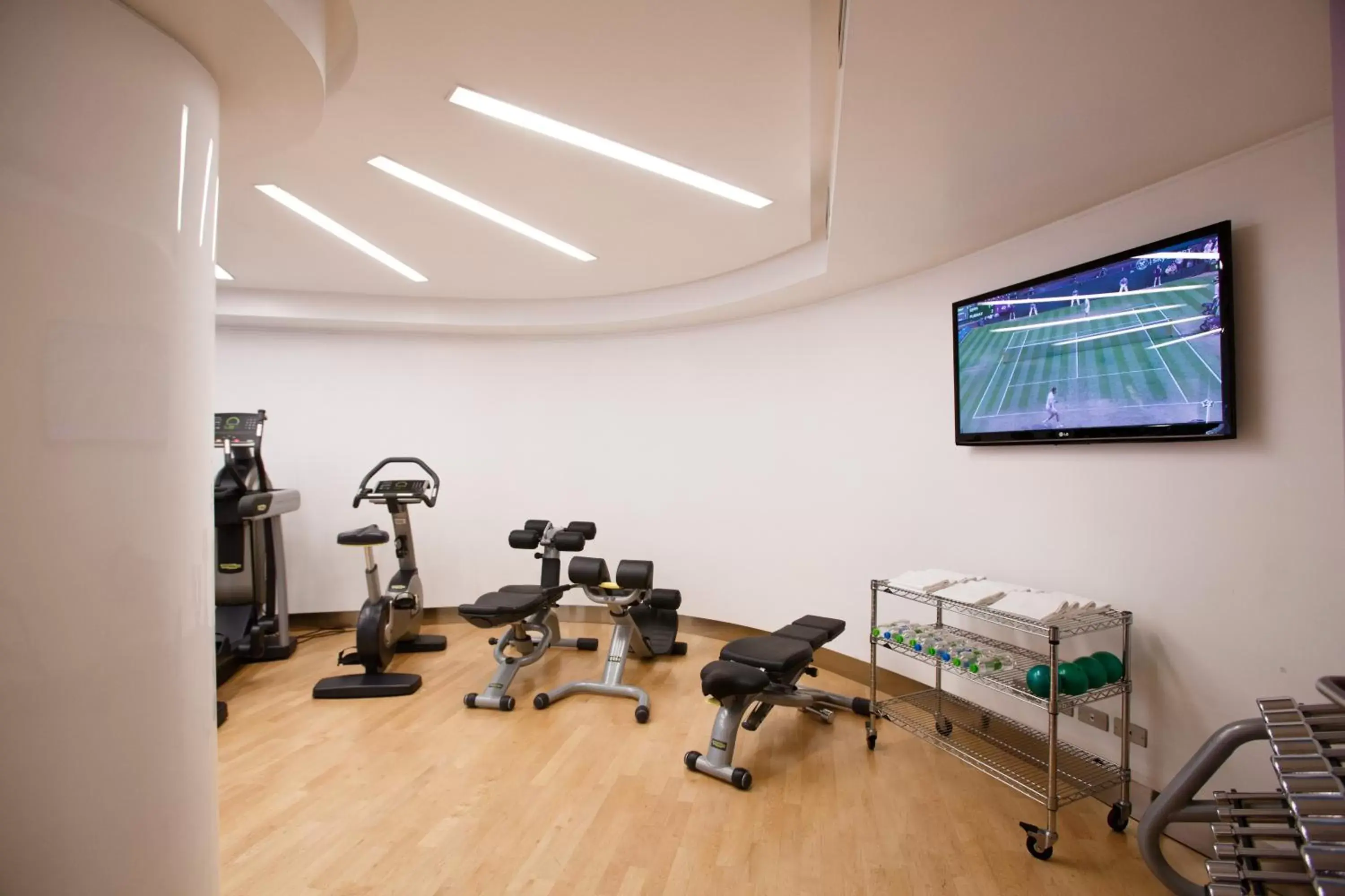 Fitness centre/facilities, Fitness Center/Facilities in Albani Hotel Roma