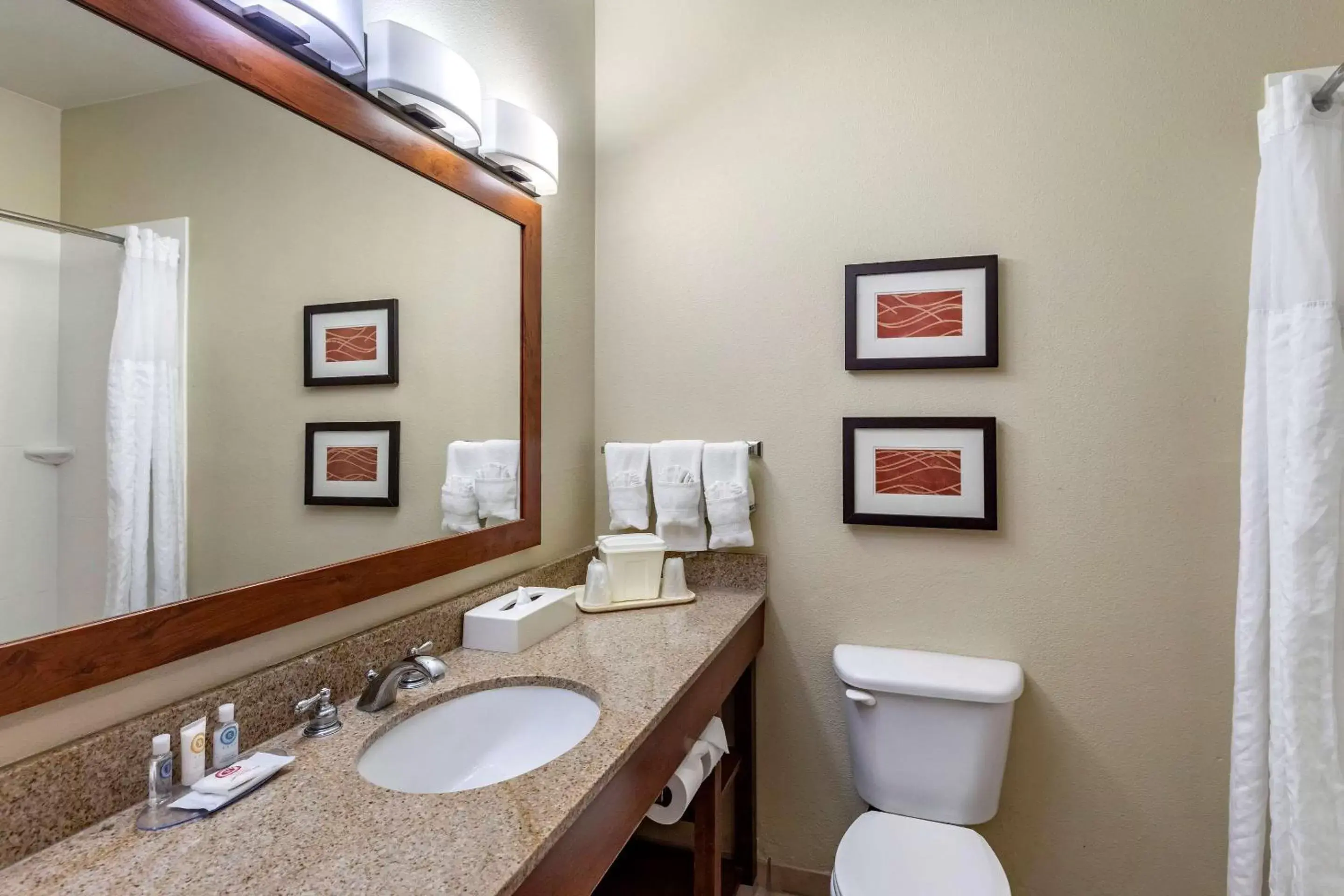 Bathroom in Comfort Inn Evansville-Casper