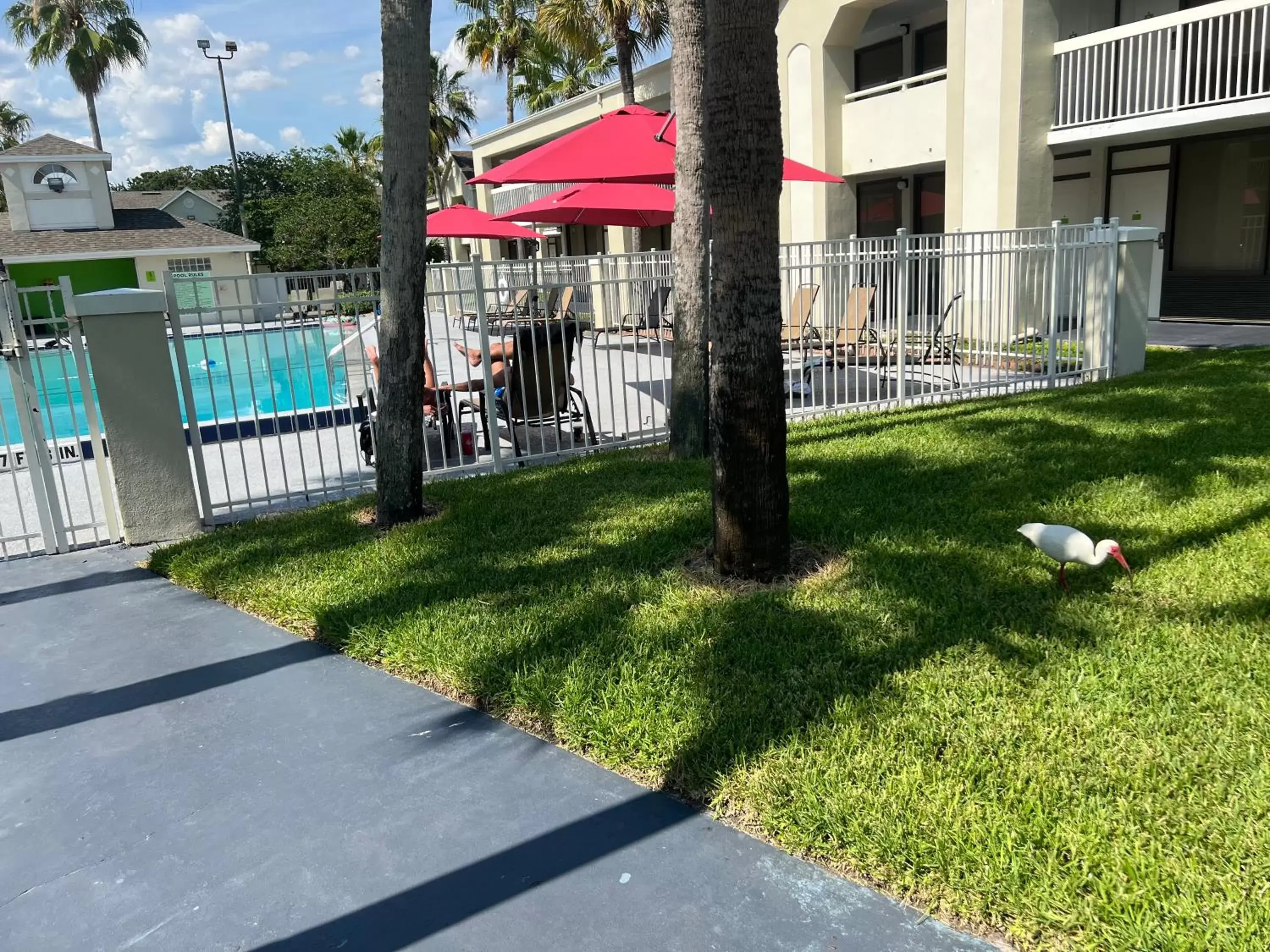 Swimming Pool in Hotel Room Near Disney 4 People