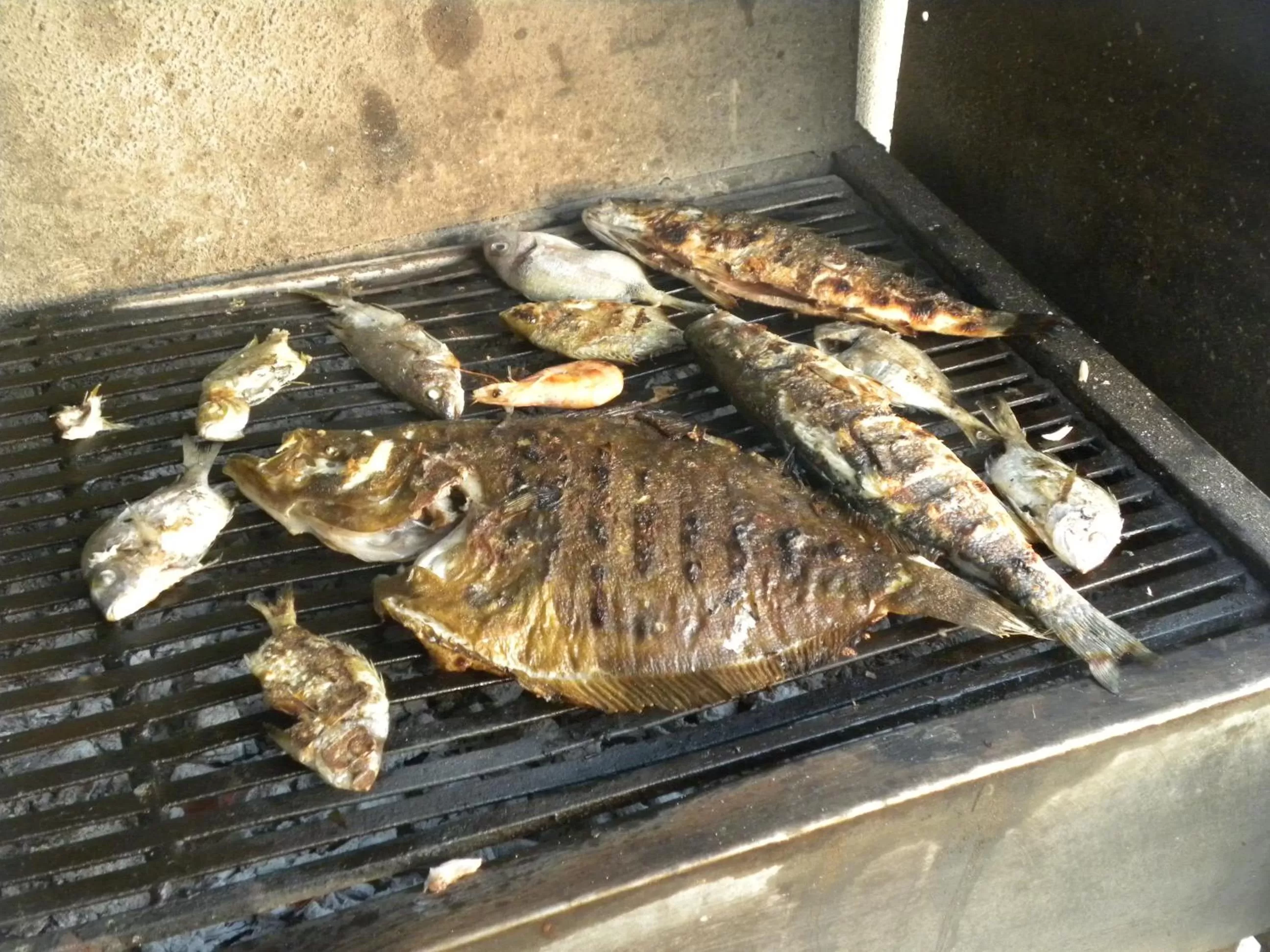 Food close-up in Maxola's Dream Orikum