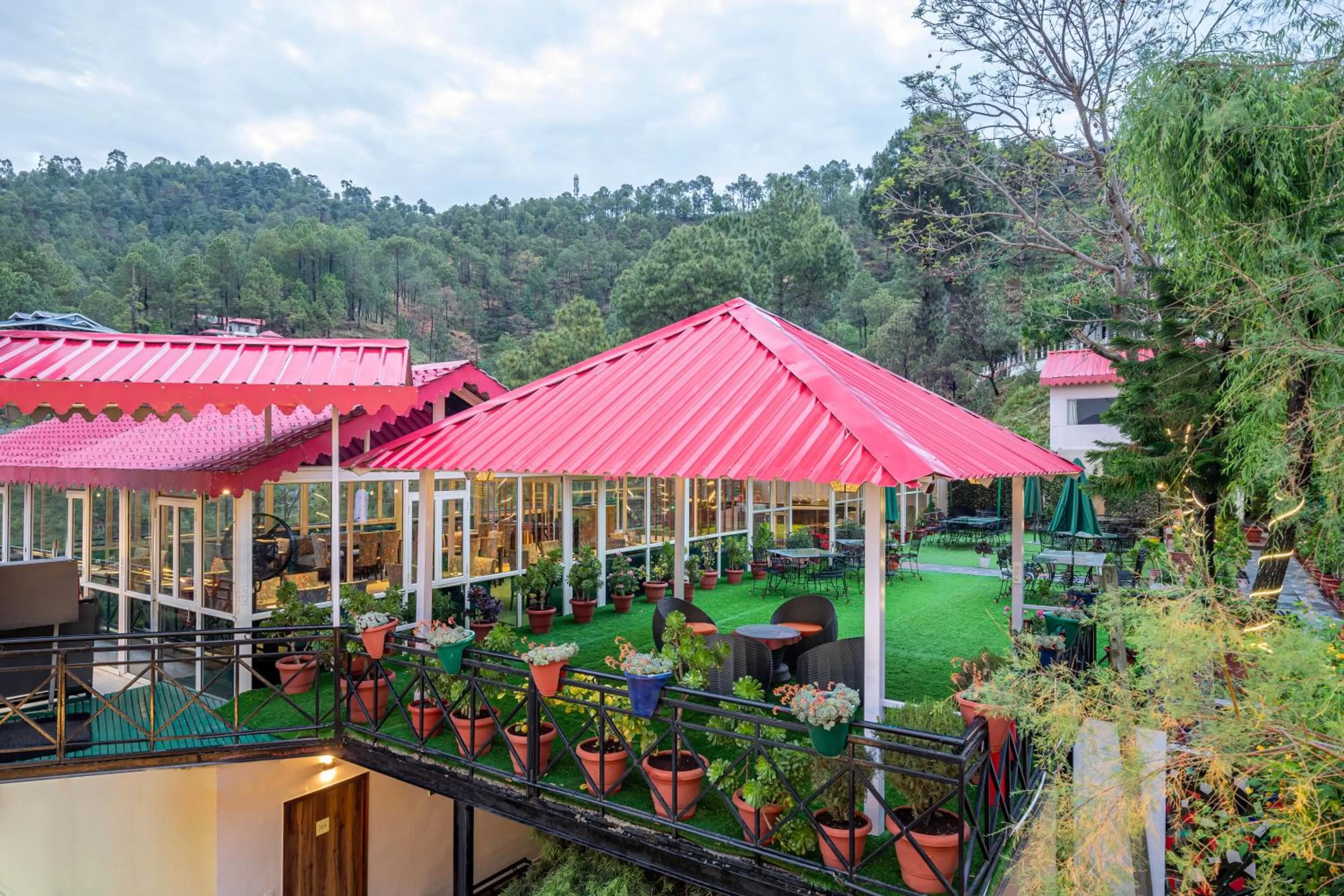 Restaurant/places to eat in Country Inn Maple Resort Chail