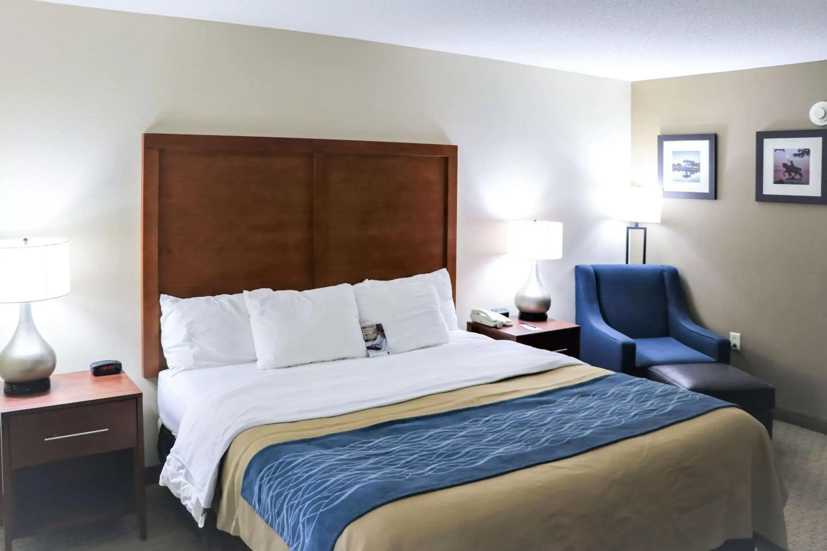 Photo of the whole room, Bed in Comfort Inn & Suites Sikeston I-55