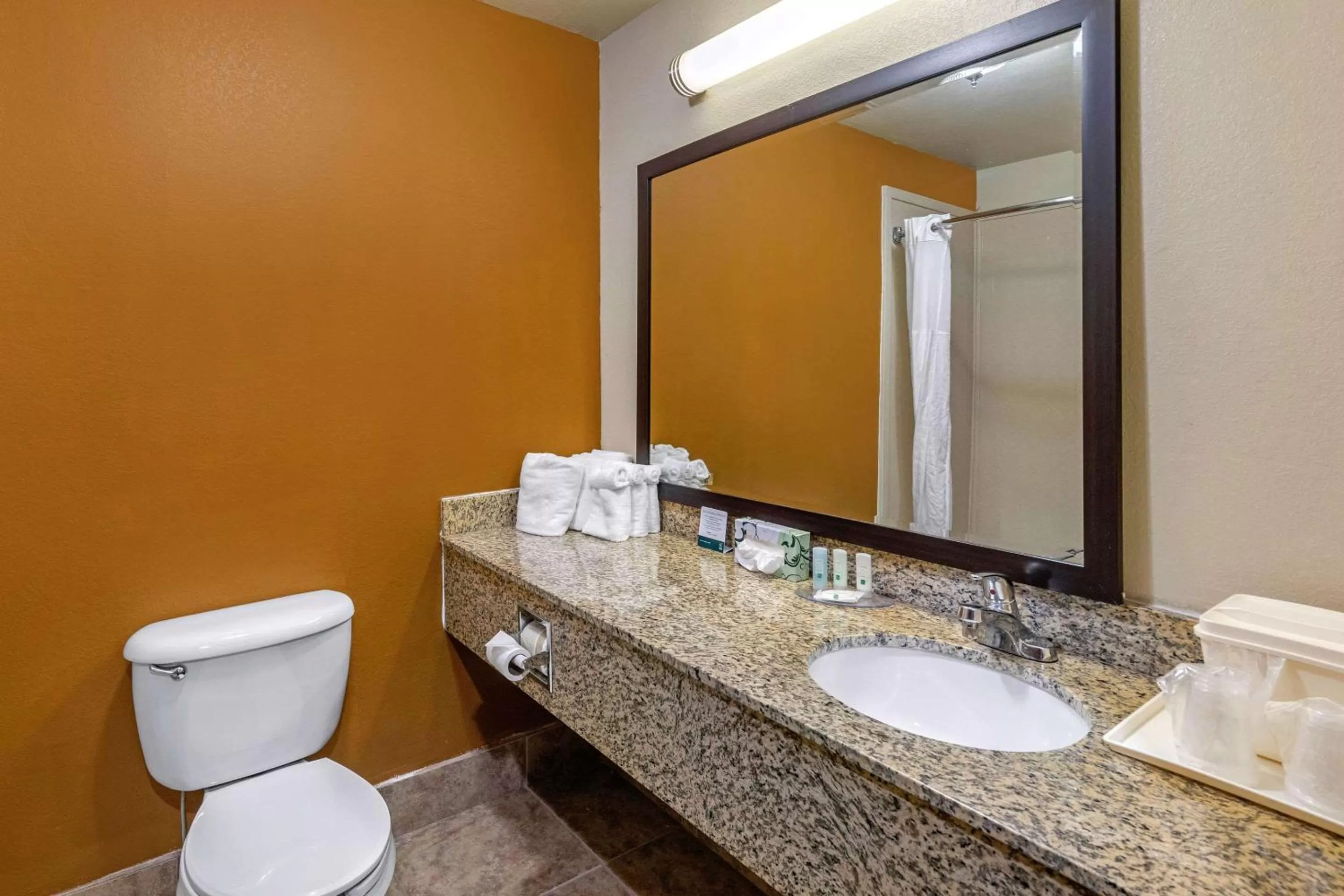 Bathroom in Quality Suites Addison-Dallas