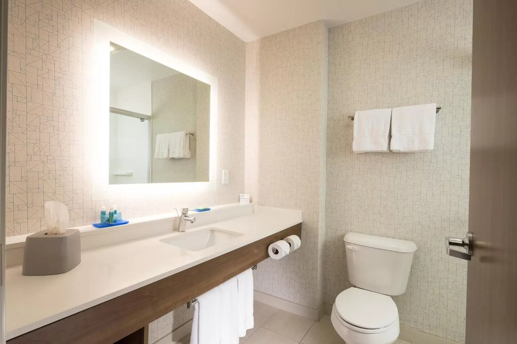Bathroom in Holiday Inn Express & Suites - Portage, an IHG Hotel