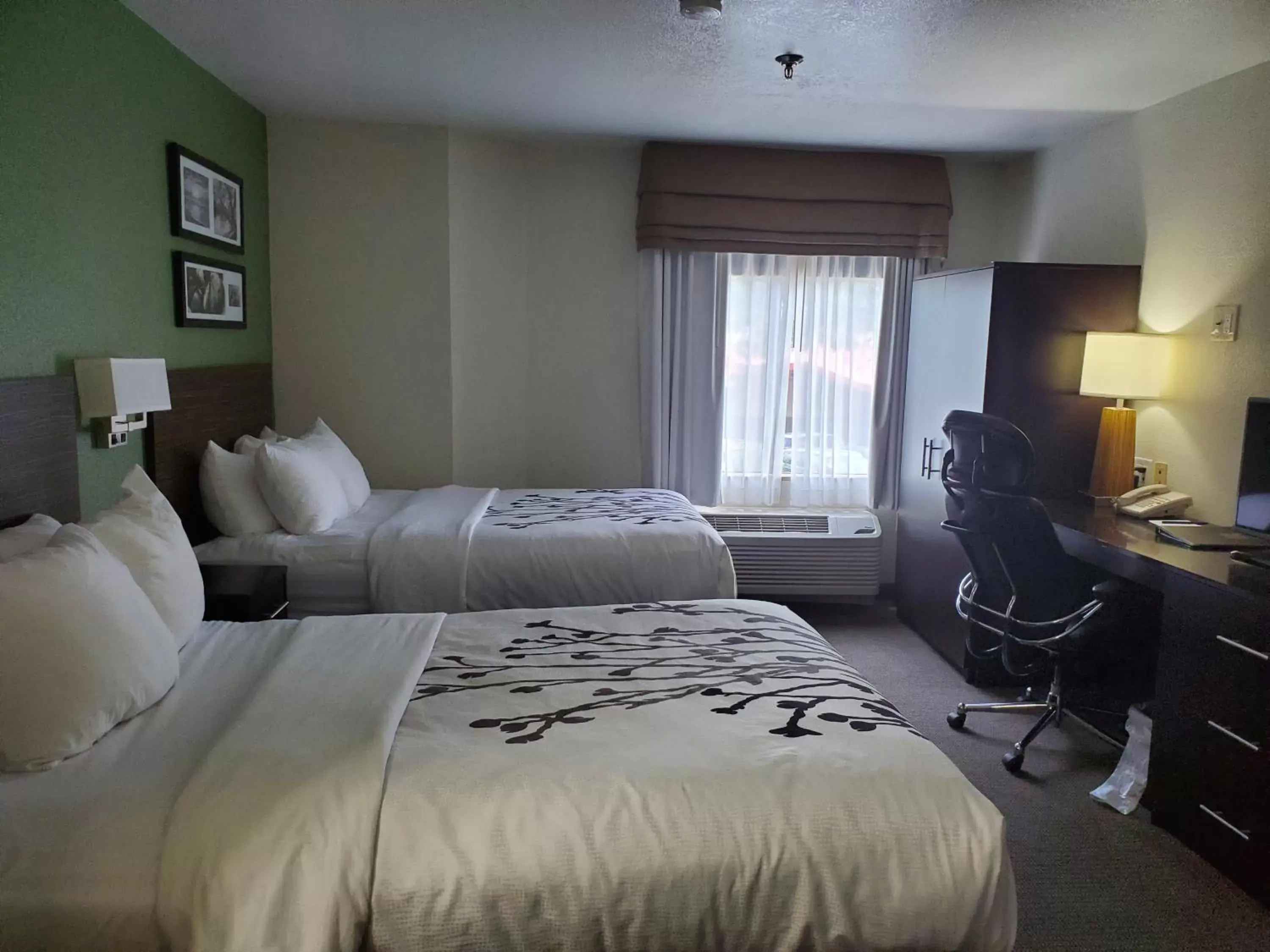 Bed in Sleep Inn Horn Lake-Southaven Bed in Sleep Inn Horn Lake-Southaven