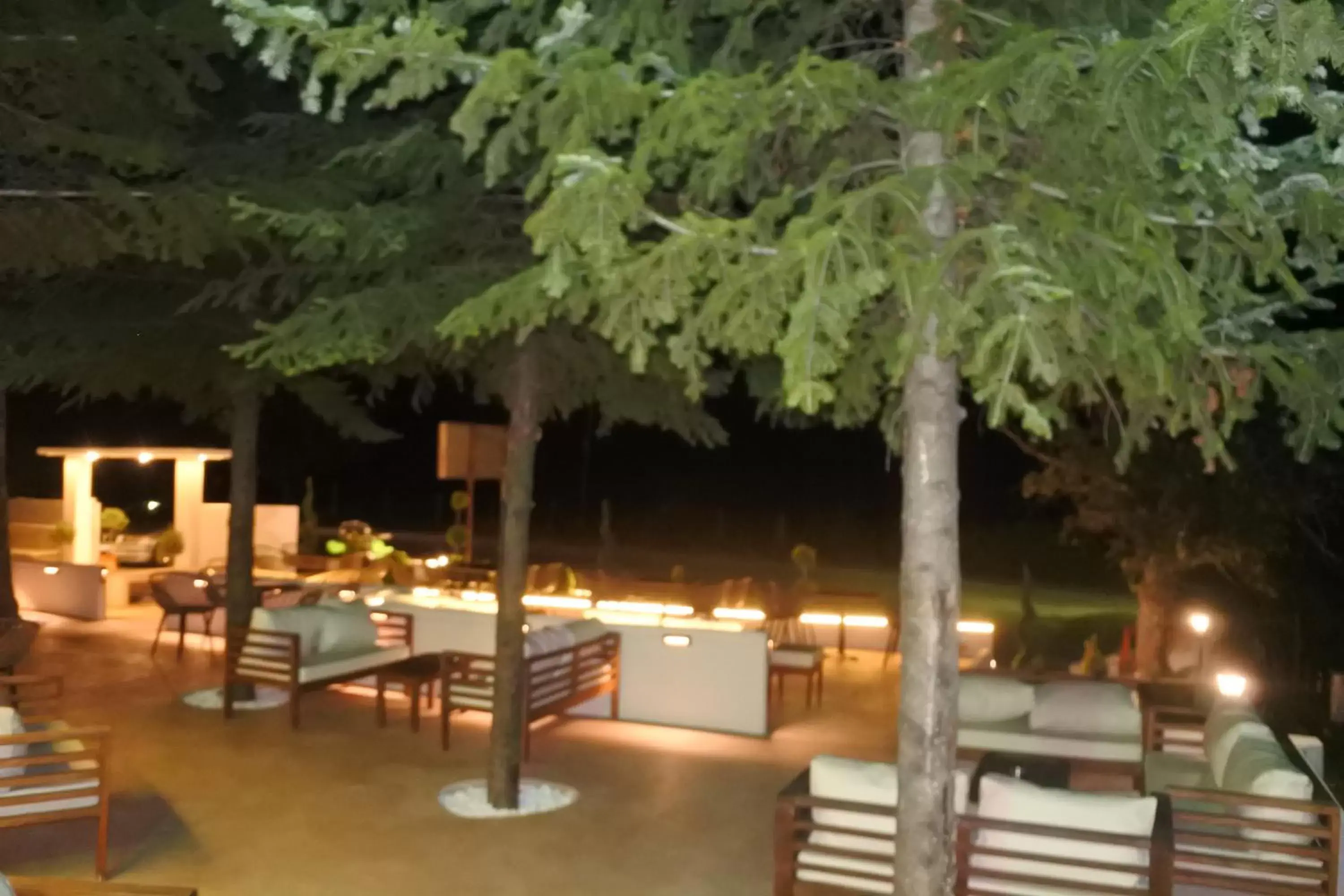 Restaurant/Places to Eat in Hotel Konaki