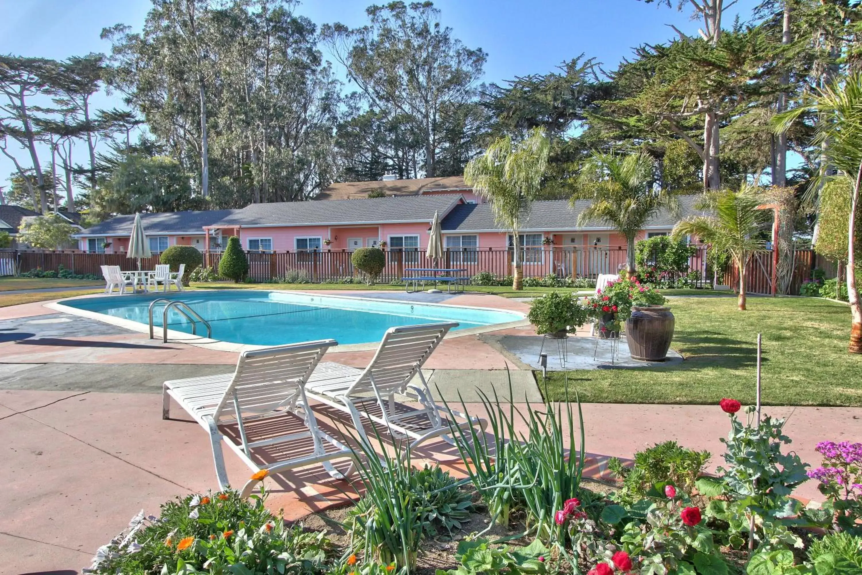 Garden, Swimming Pool in Butterfly Grove Inn