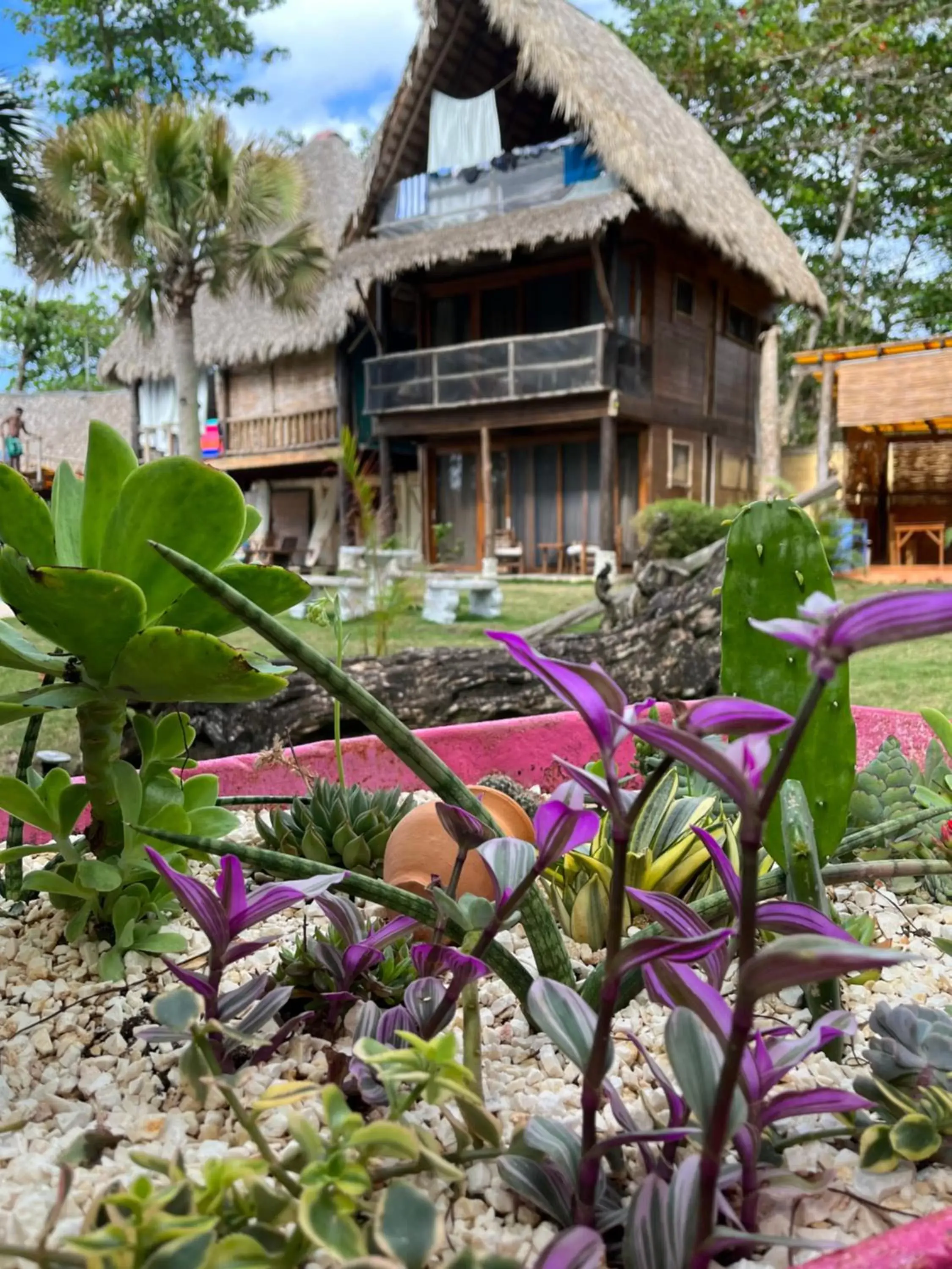 Property Building in Cabarete Maravilla Eco Lodge Boutique Beach Surf & Kite