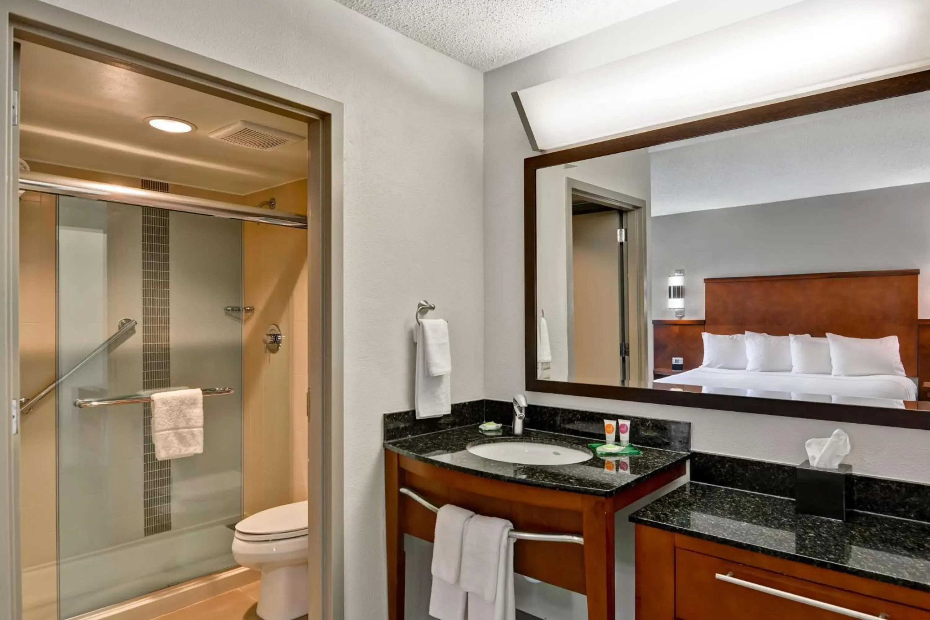 Bathroom in Hyatt Place Birmingham/Hoover