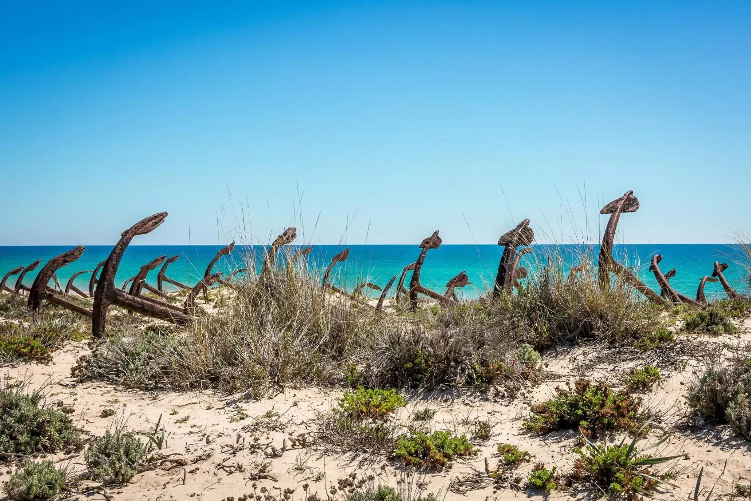 Beach in Pedras D'el Rei