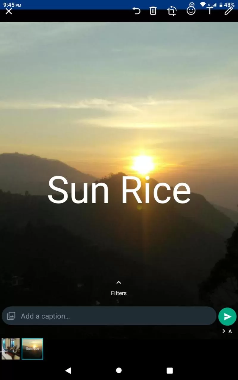 Maple home stay and cottage