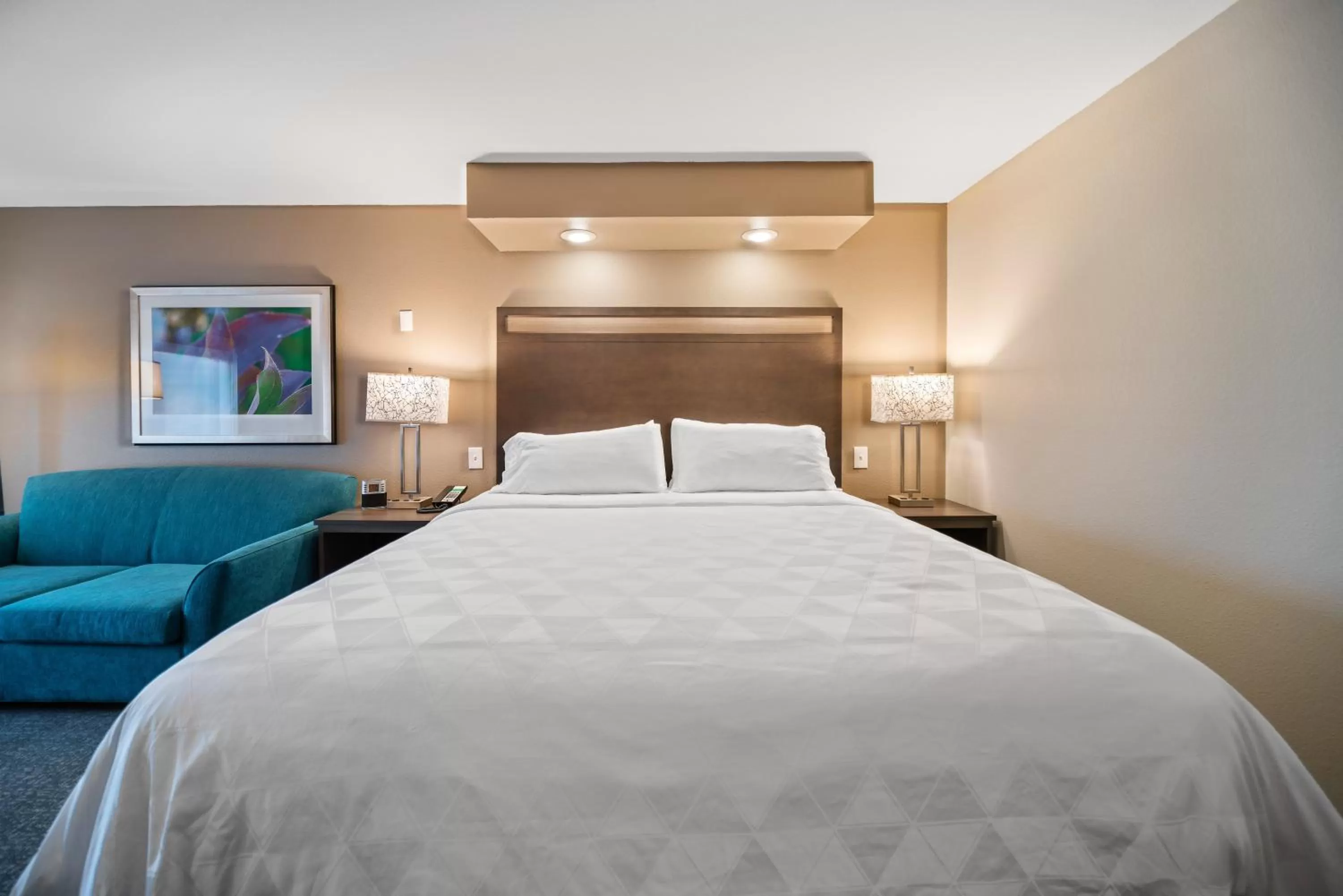 Photo of the whole room, Bed in Holiday Inn Kearney by IHG