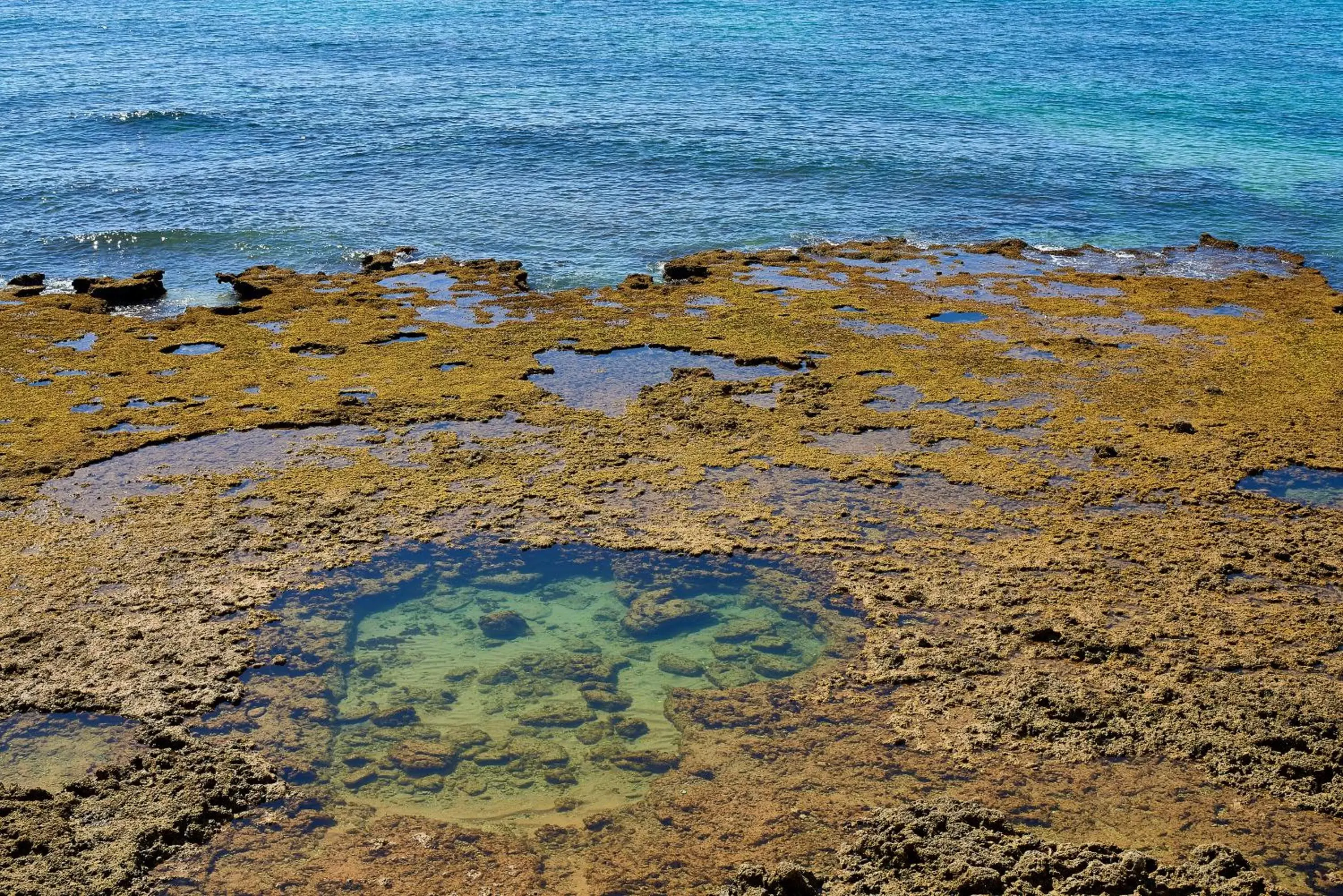 Nearby landmark, Beach in Oceanus Aparthotel