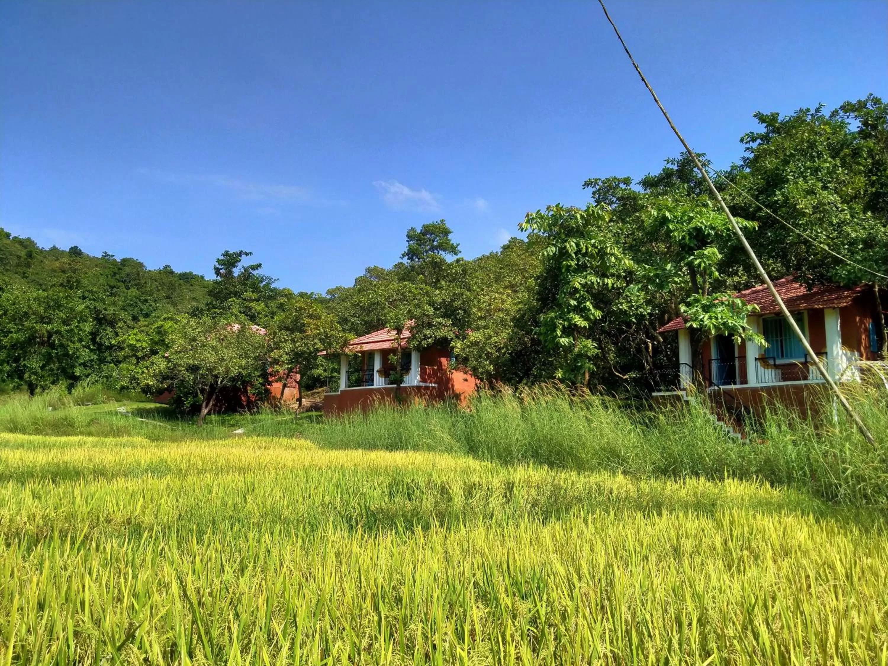 Property building in Porsu